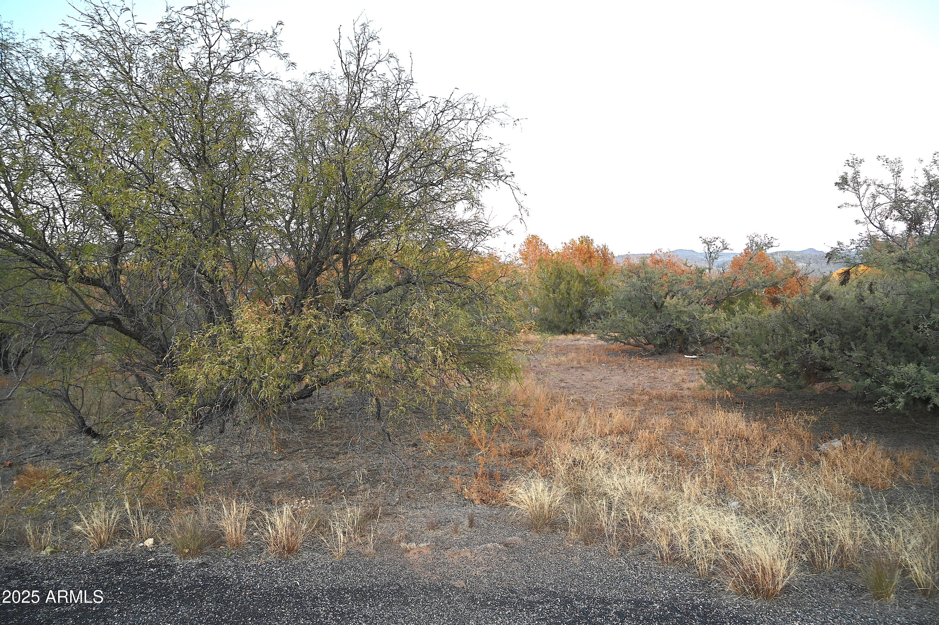 3661 S BAD ROCKS Road # 152