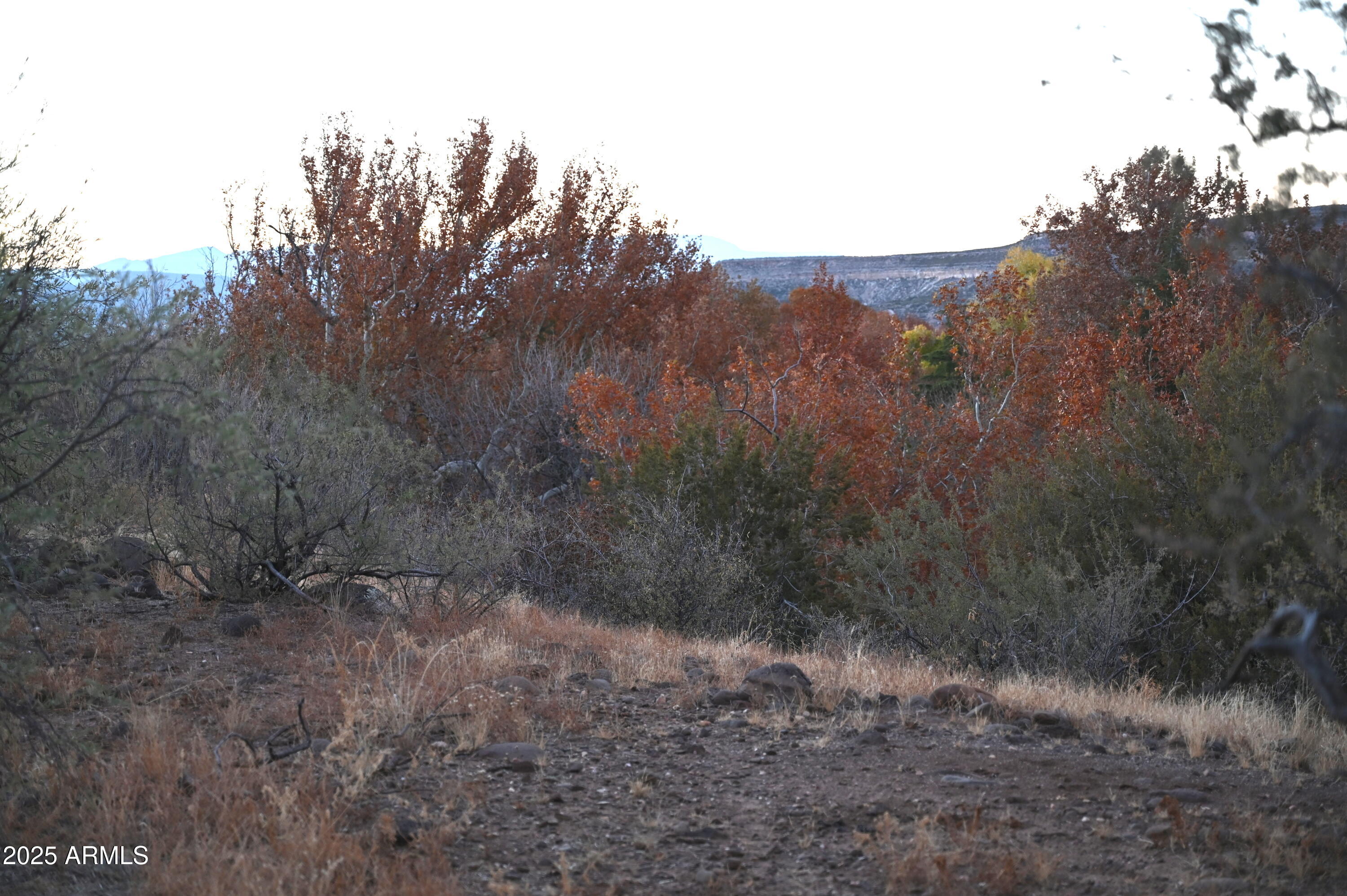 3661 S BAD ROCKS Road # 152