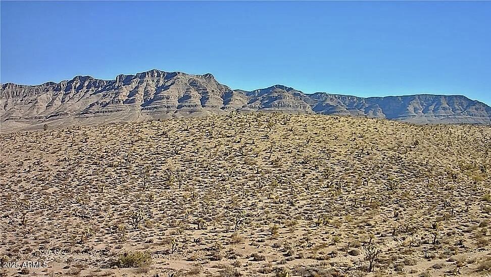 XXX Old Kingman Highway Unit: -