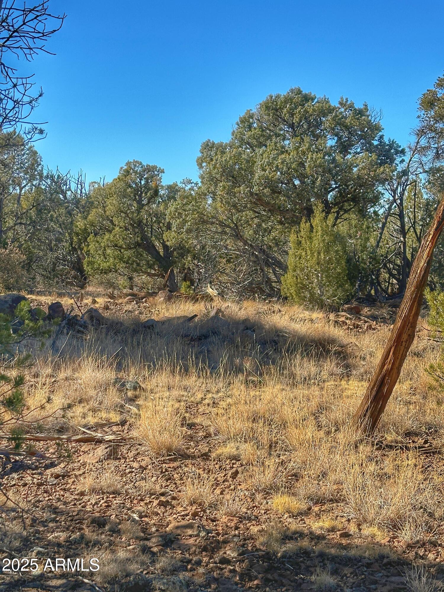 01 N Boulder Ridge Trail # 459
