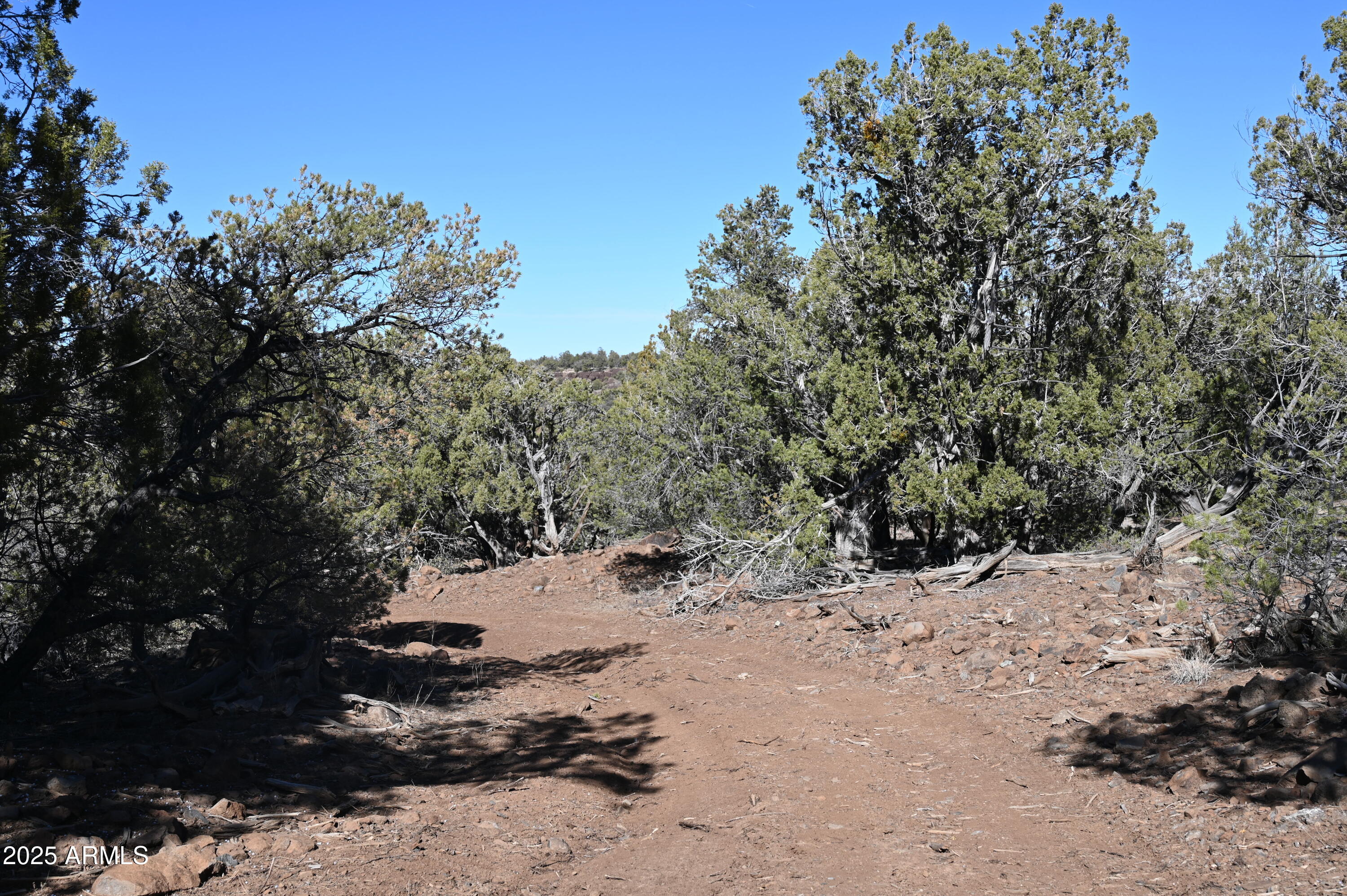 01 N Boulder Ridge Trail # 459