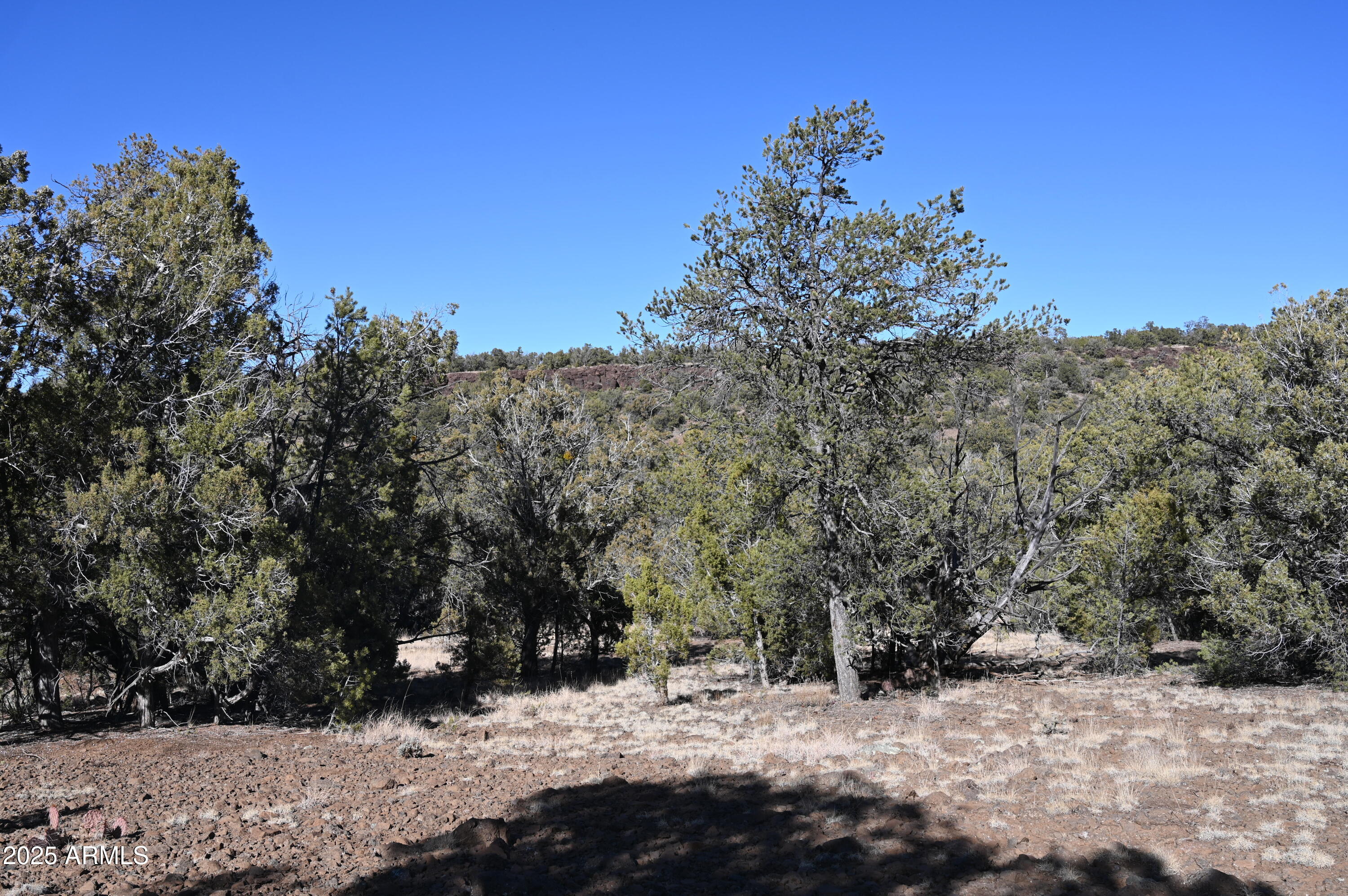 01 N Boulder Ridge Trail # 459