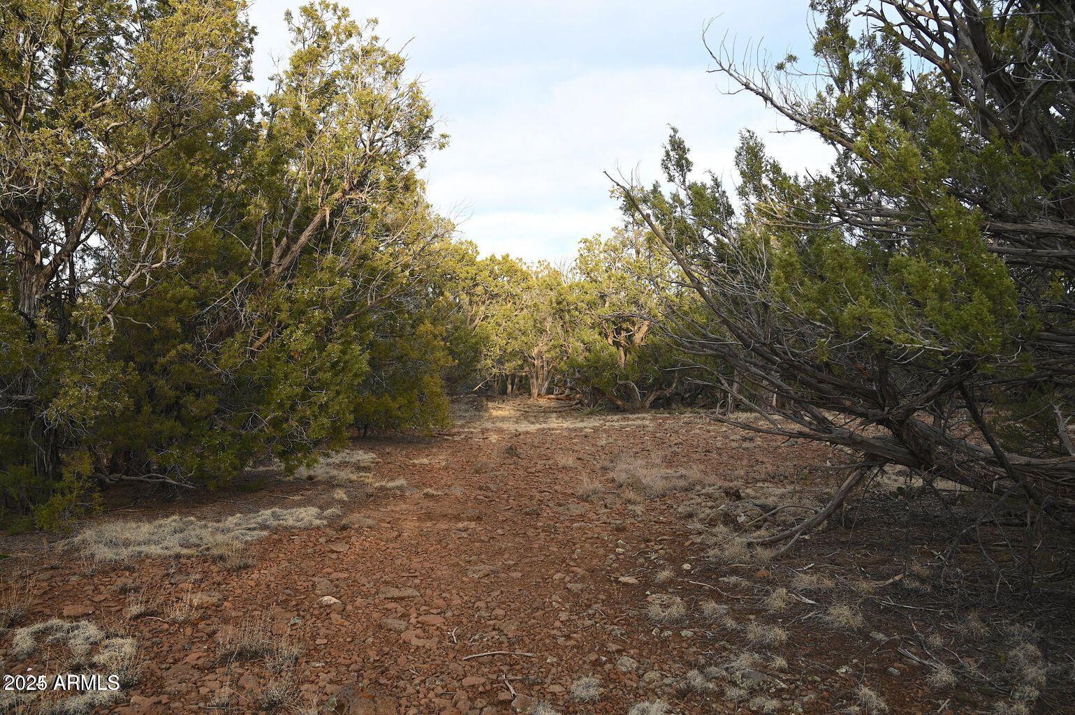 01 N Boulder Ridge Trail # 459
