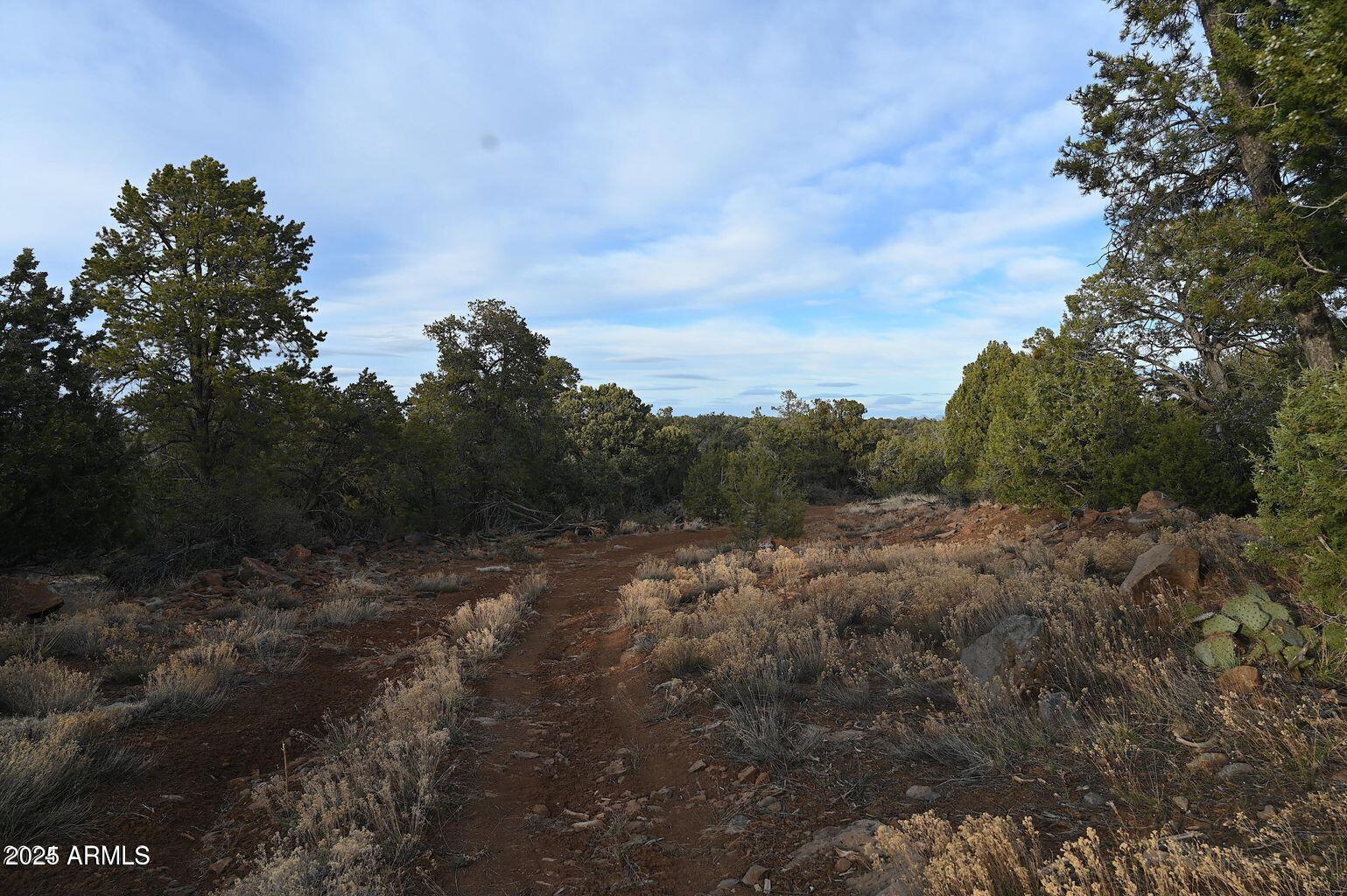 01 N Boulder Ridge Trail # 459