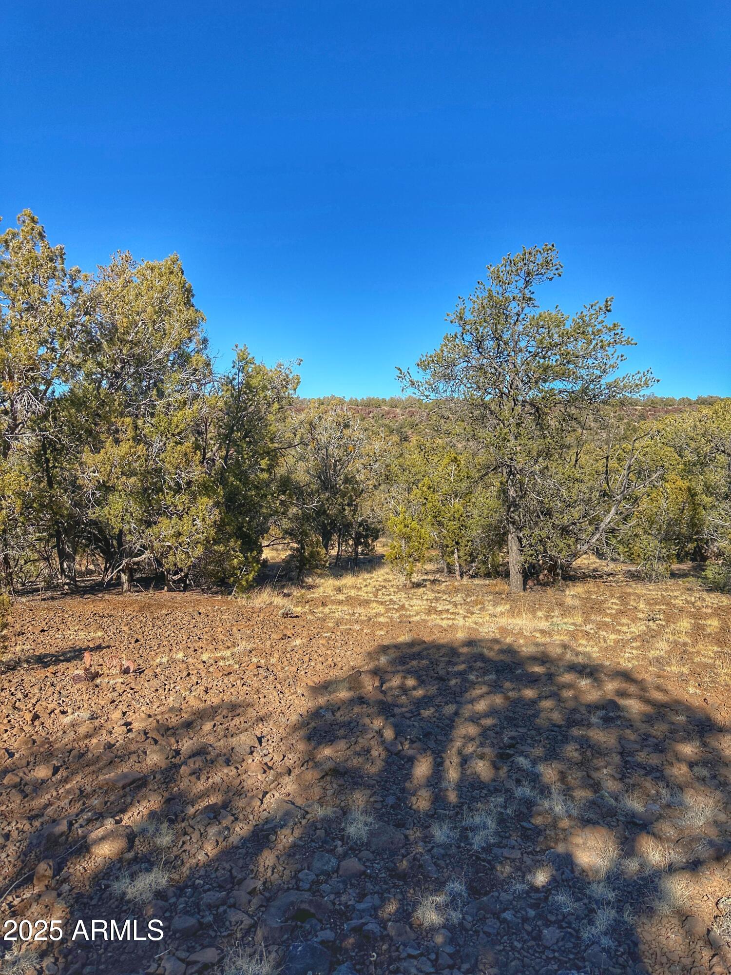 01 N Boulder Ridge Trail # 459