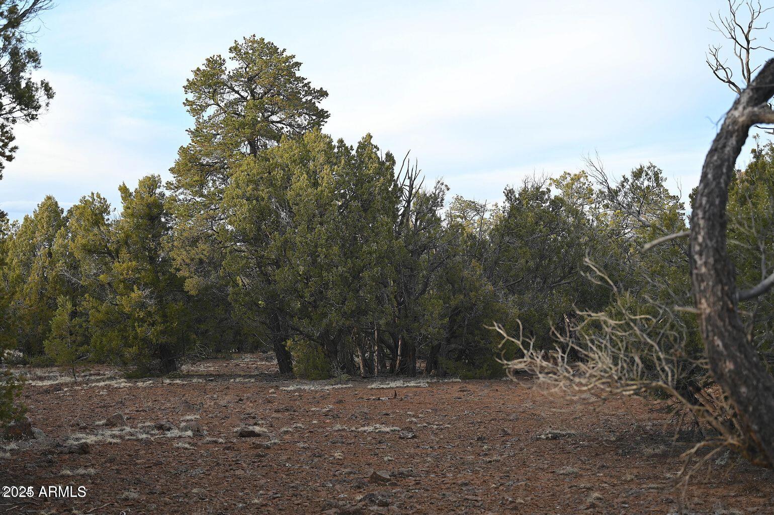 01 N Boulder Ridge Trail # 459