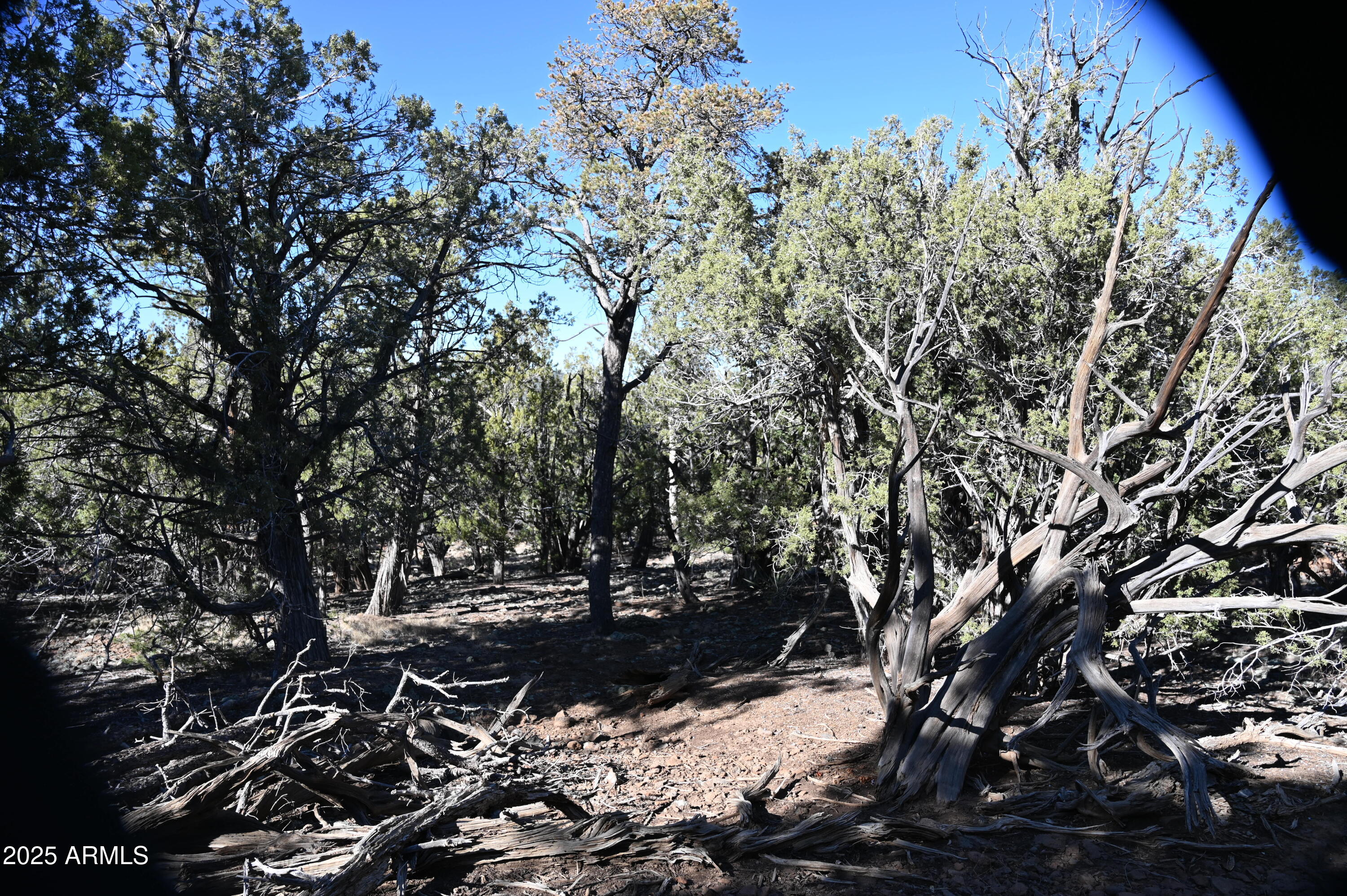 01 N Boulder Ridge Trail # 459