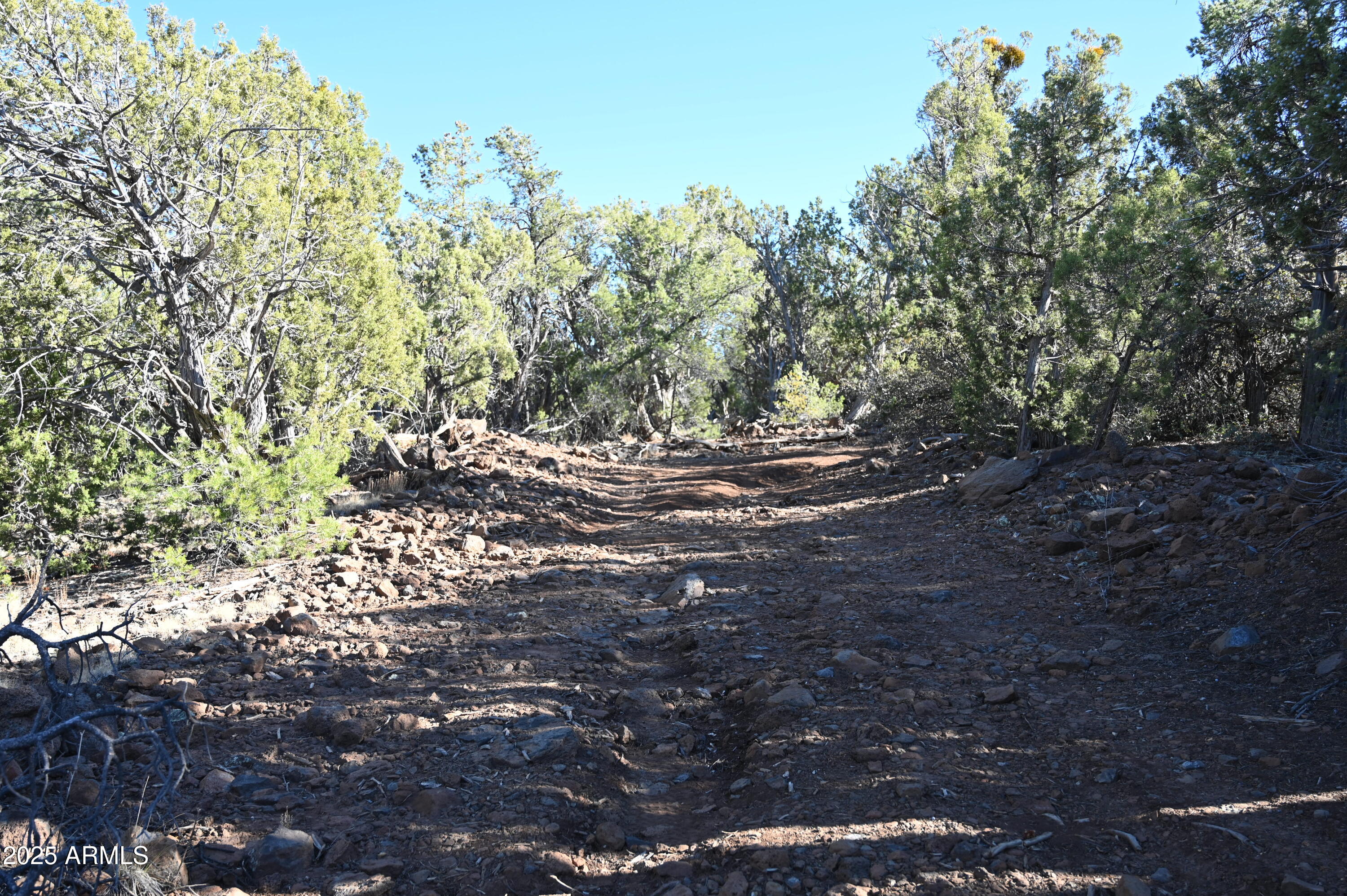 01 N Boulder Ridge Trail # 459