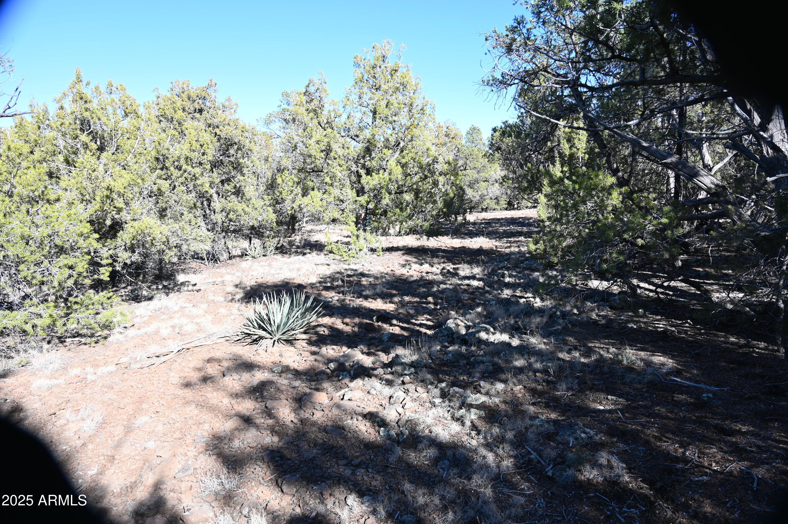 01 N Boulder Ridge Trail # 459