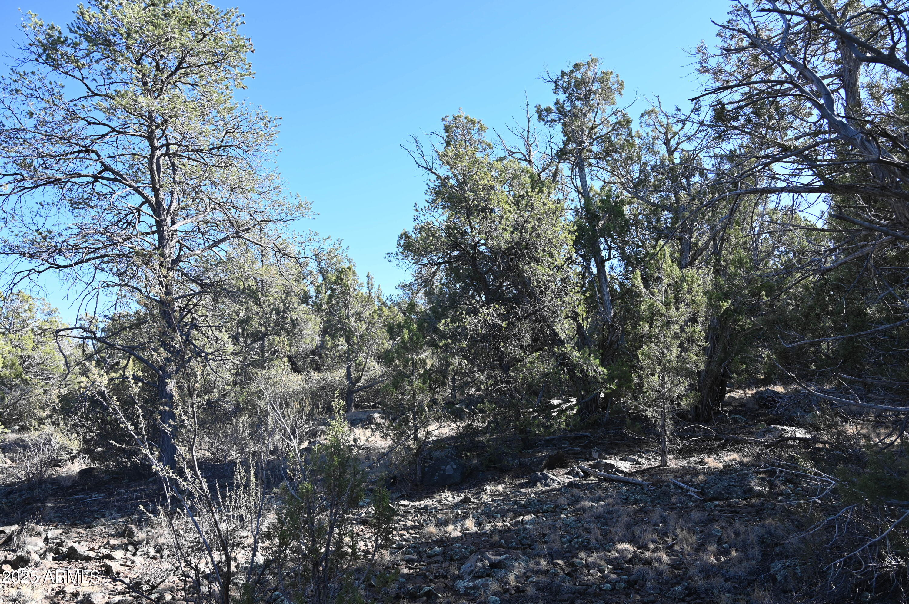 01 N Boulder Ridge Trail # 459