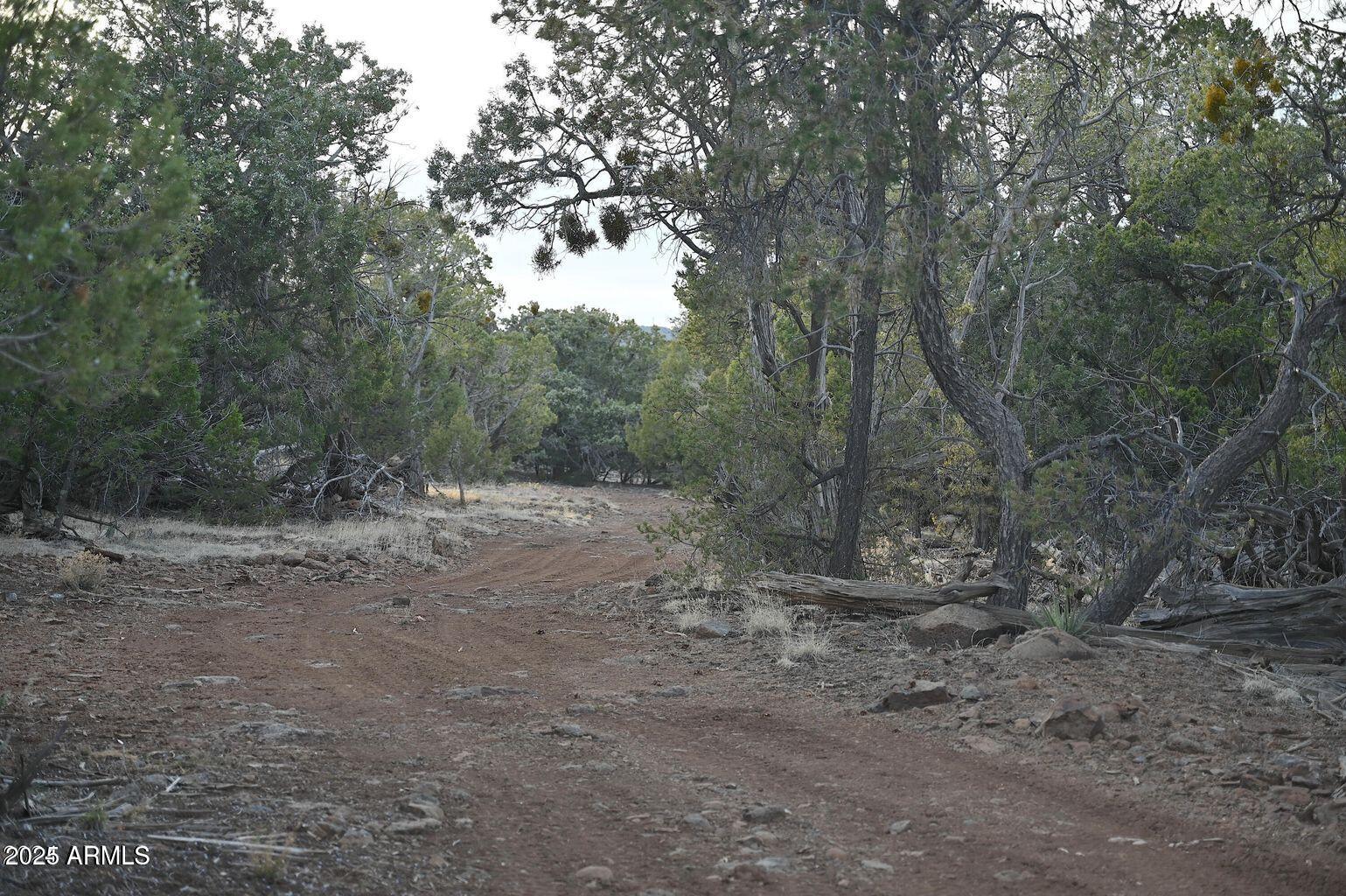 01 N Boulder Ridge Trail # 459
