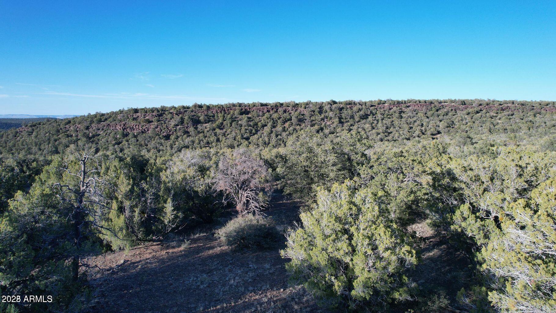 01 N Boulder Ridge Trail # 459