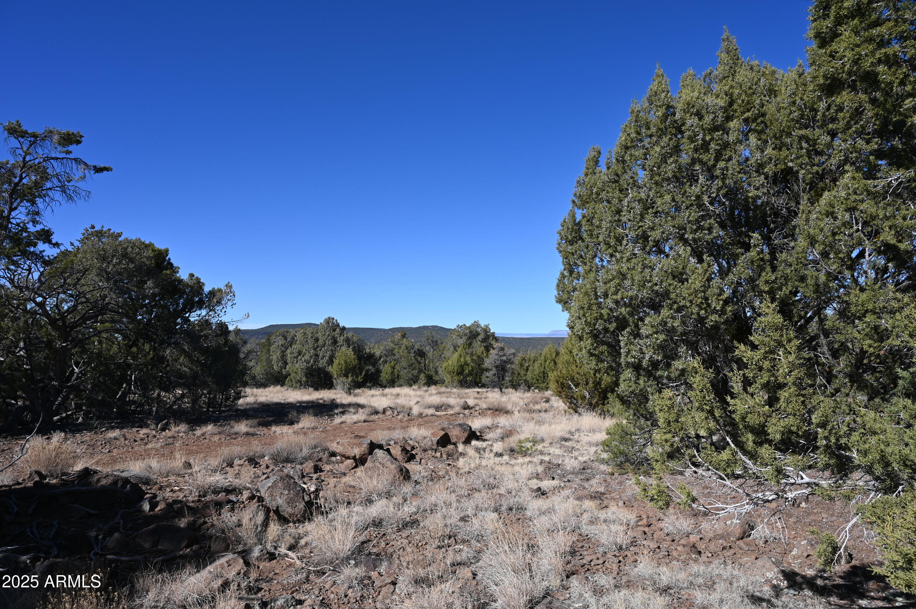 01 N Boulder Ridge Trail # 459