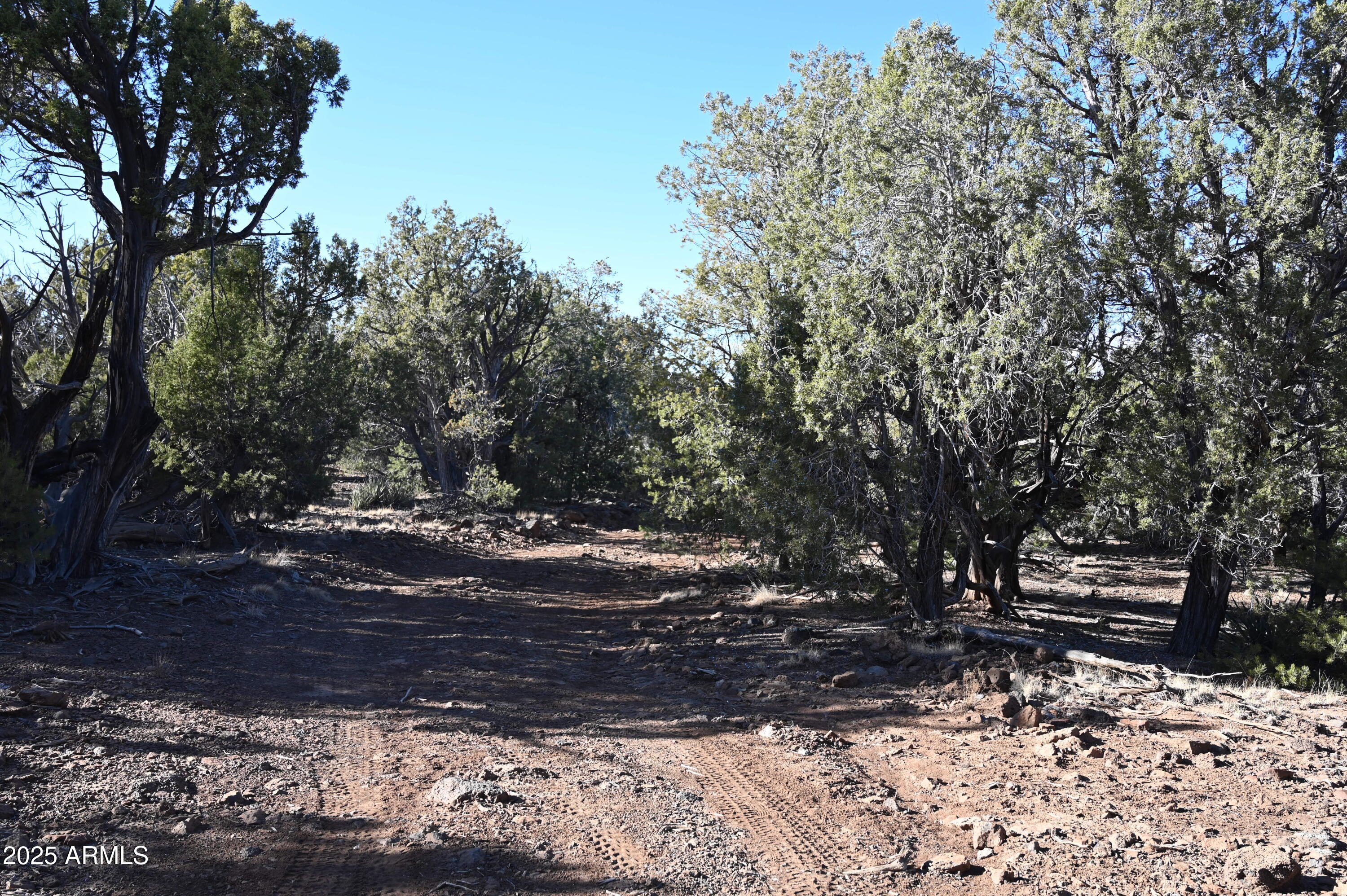 01 N Boulder Ridge Trail # 459