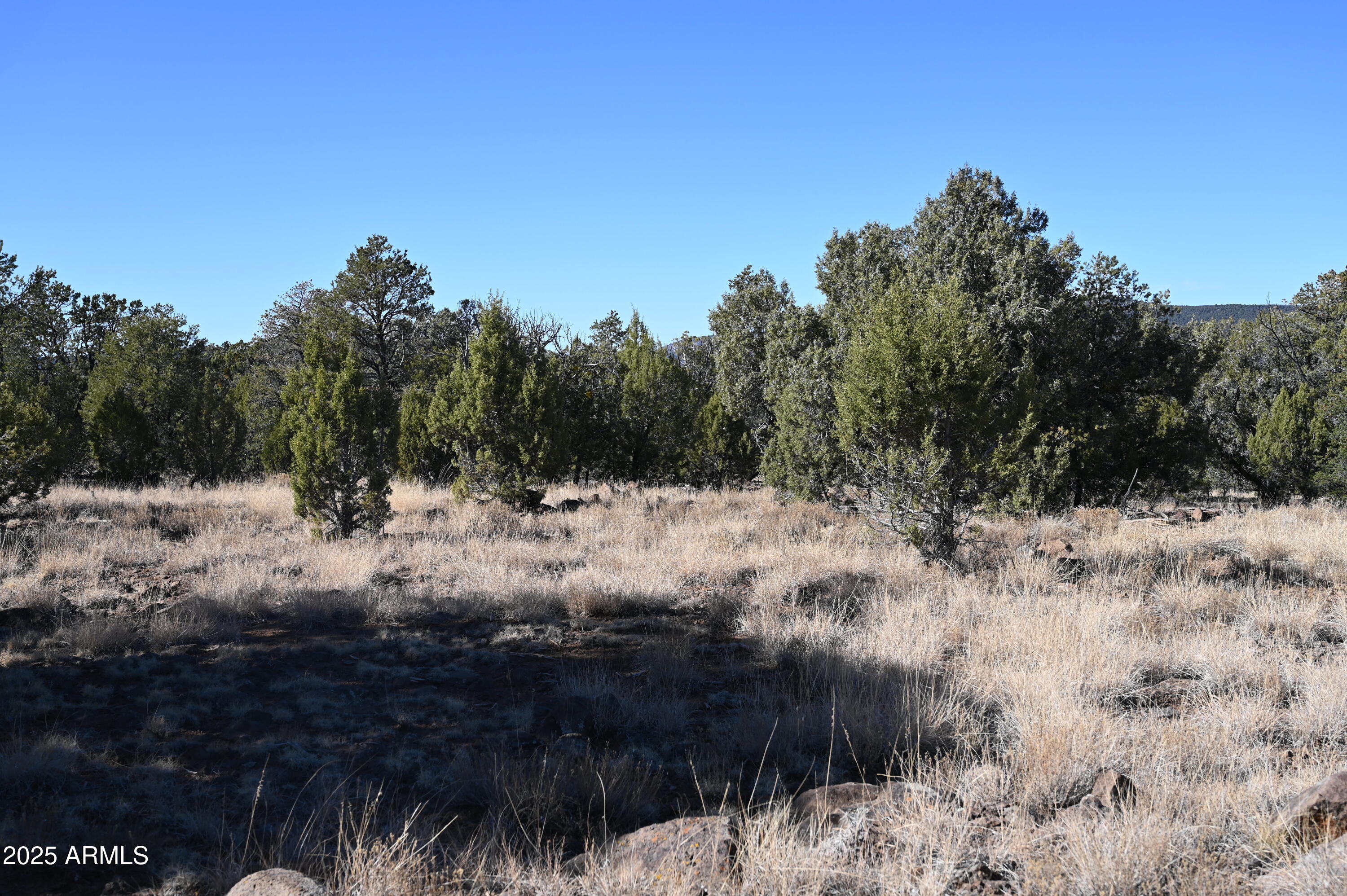 01 N Boulder Ridge Trail # 459