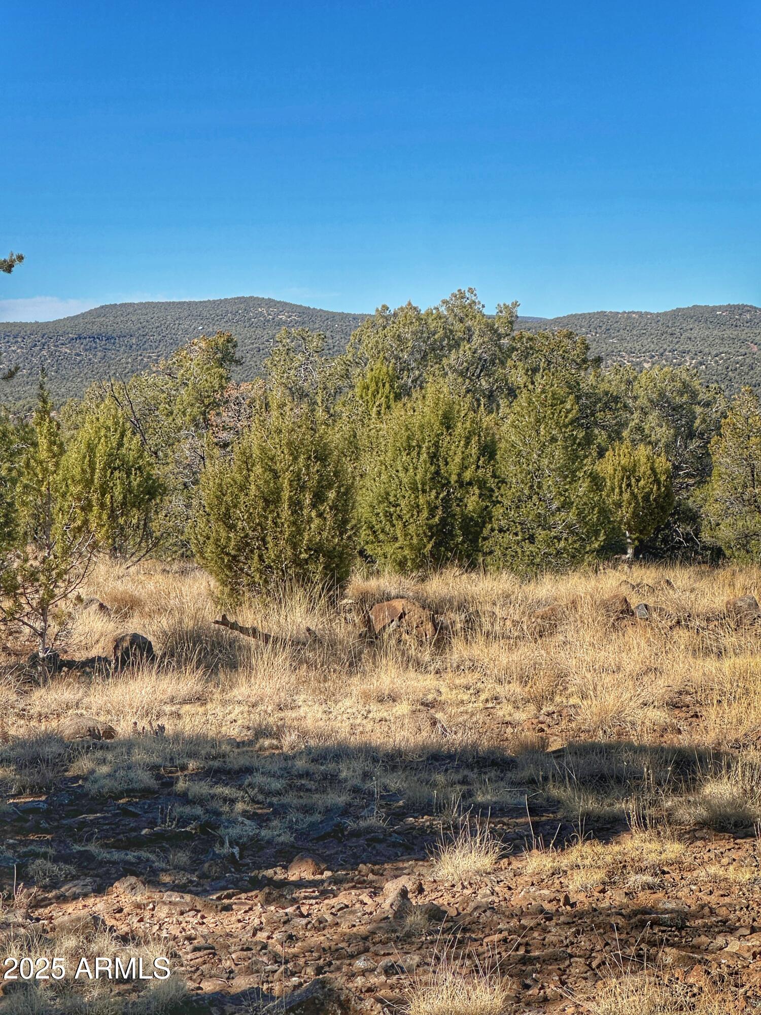01 N Boulder Ridge Trail # 459