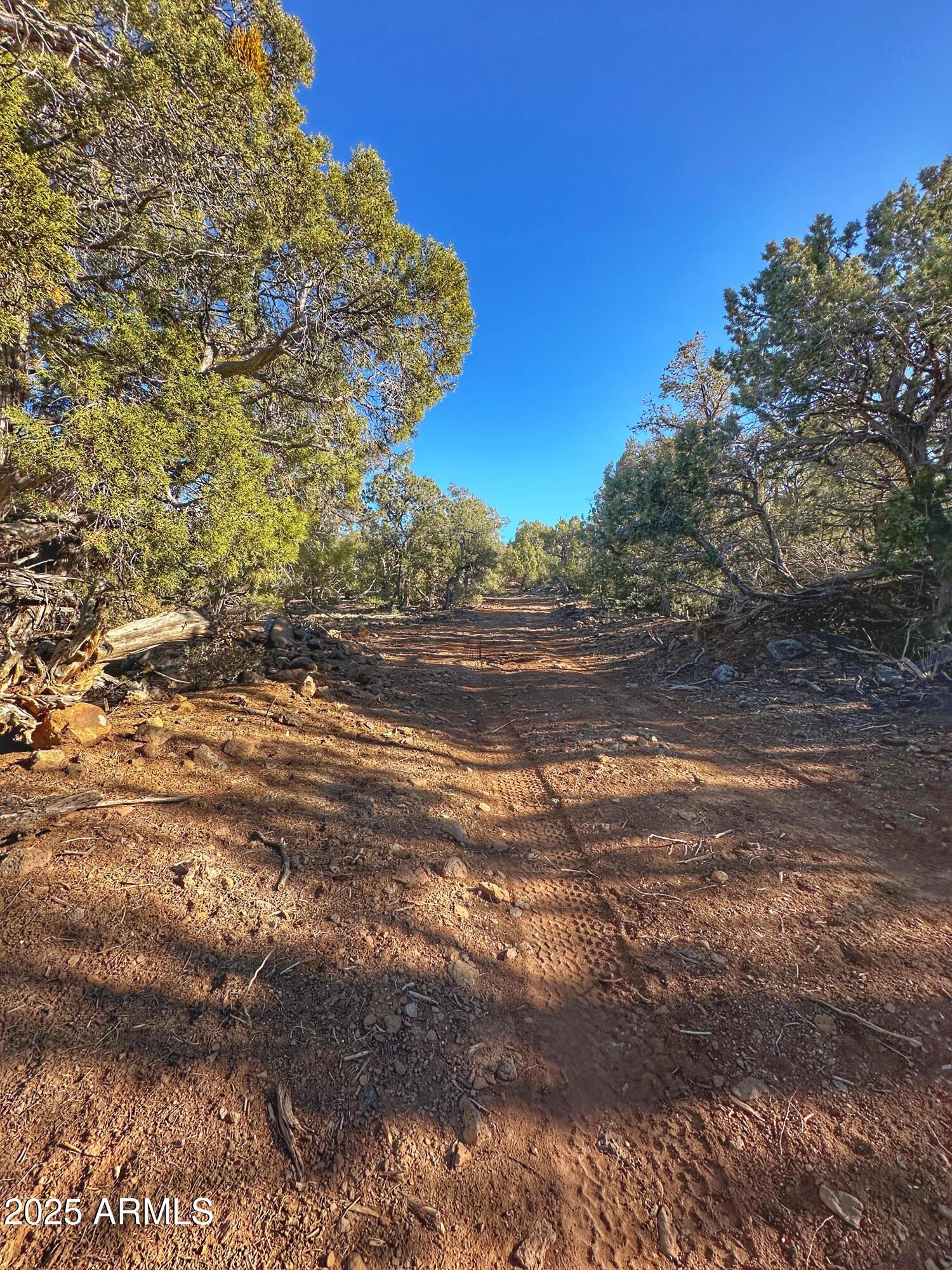 01 N Boulder Ridge Trail # 459