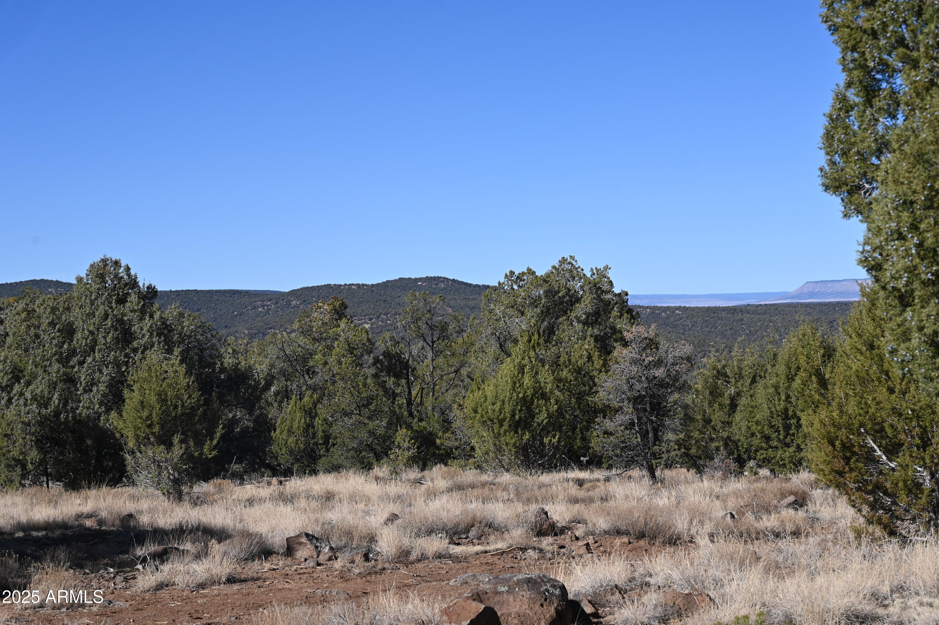 01 N Boulder Ridge Trail # 459