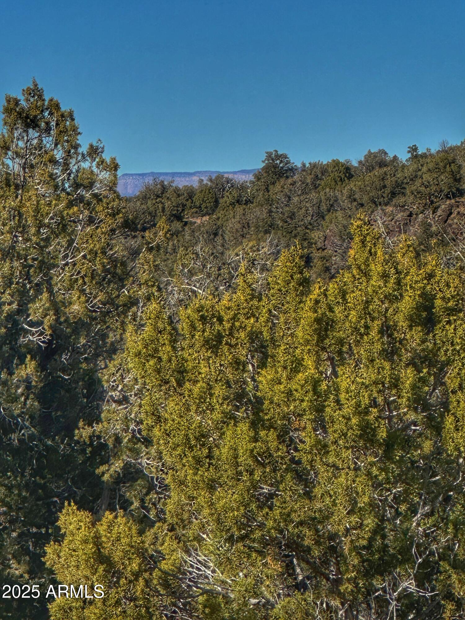01 N Boulder Ridge Trail # 459