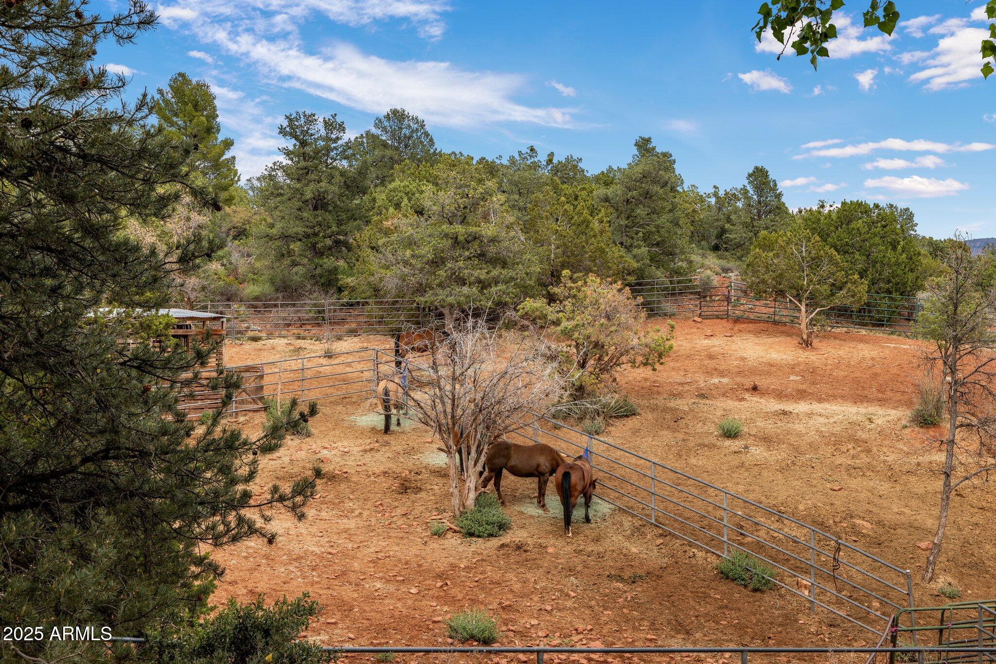 504 BRISTLECONE PINES Road