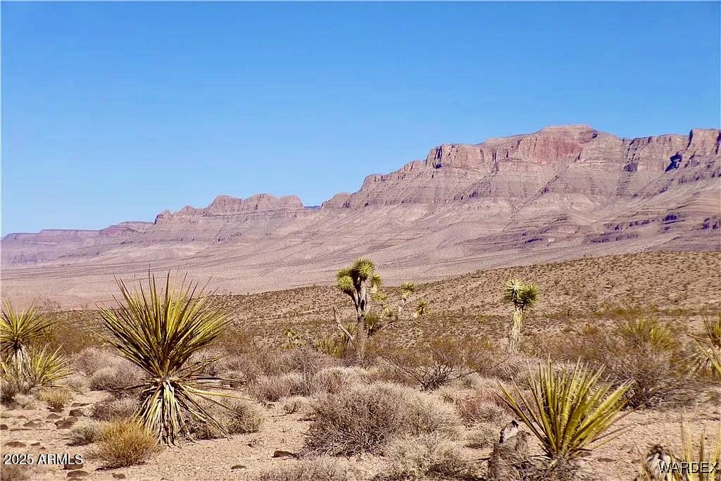 258 Mohave Lane, 258