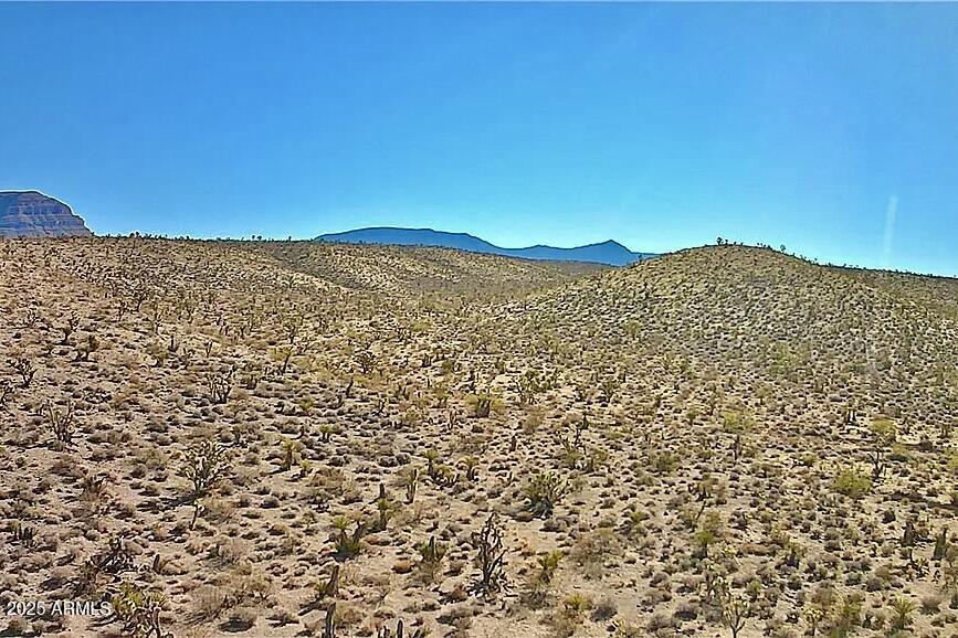 218 Cottonwood Avenue, 128