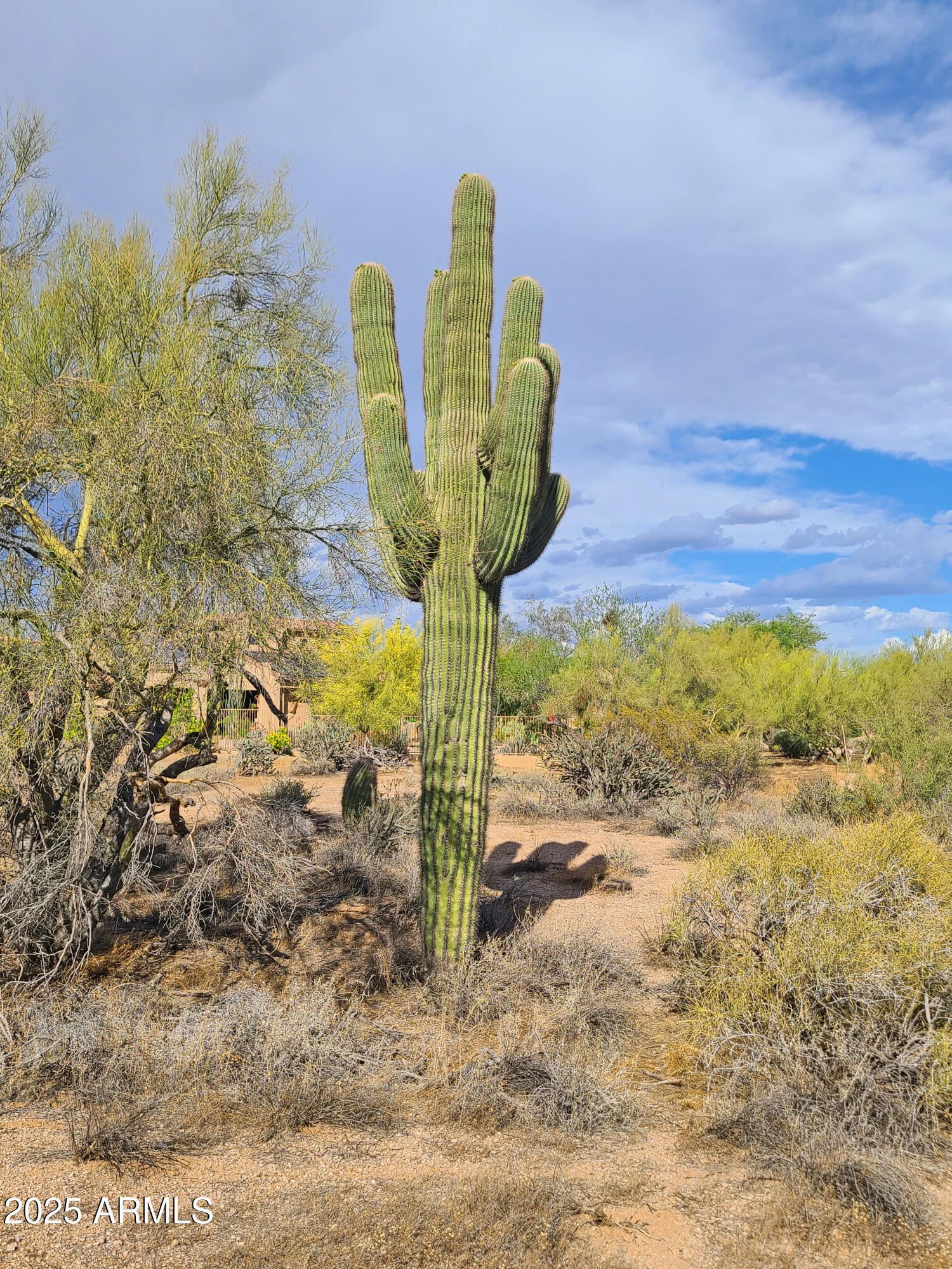 5141 E RANCHO TIERRA Drive