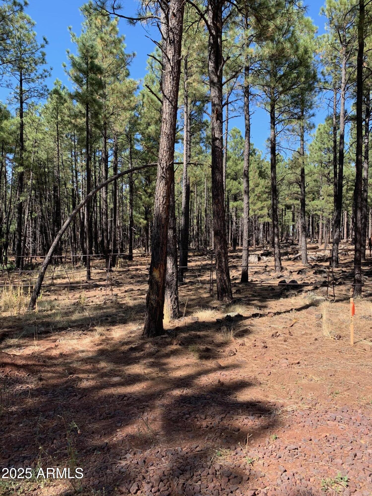 TBD-2 Dynamite Road, '-'