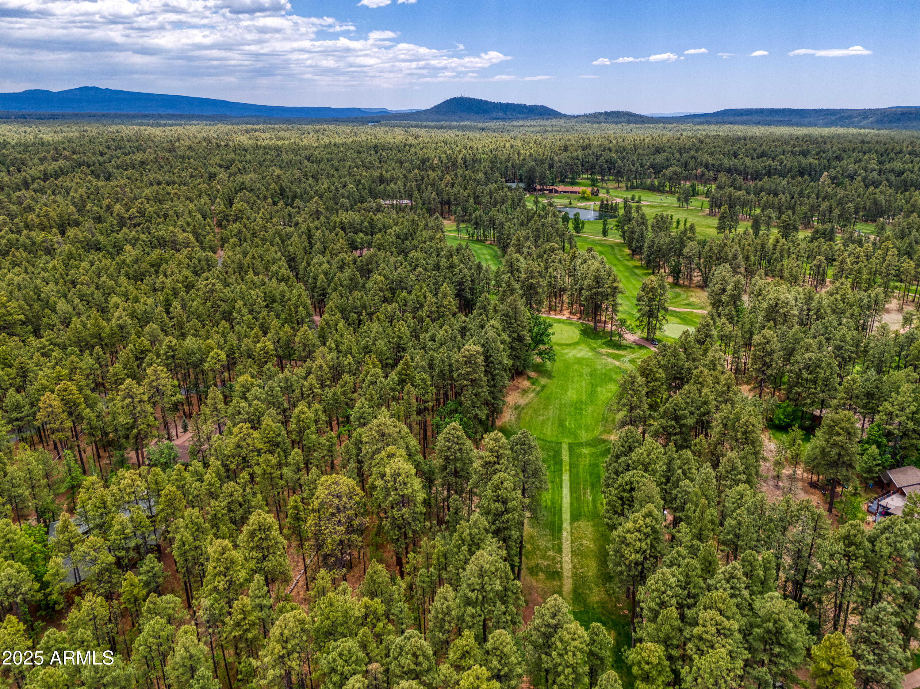 3248 WHITE OAK Drive