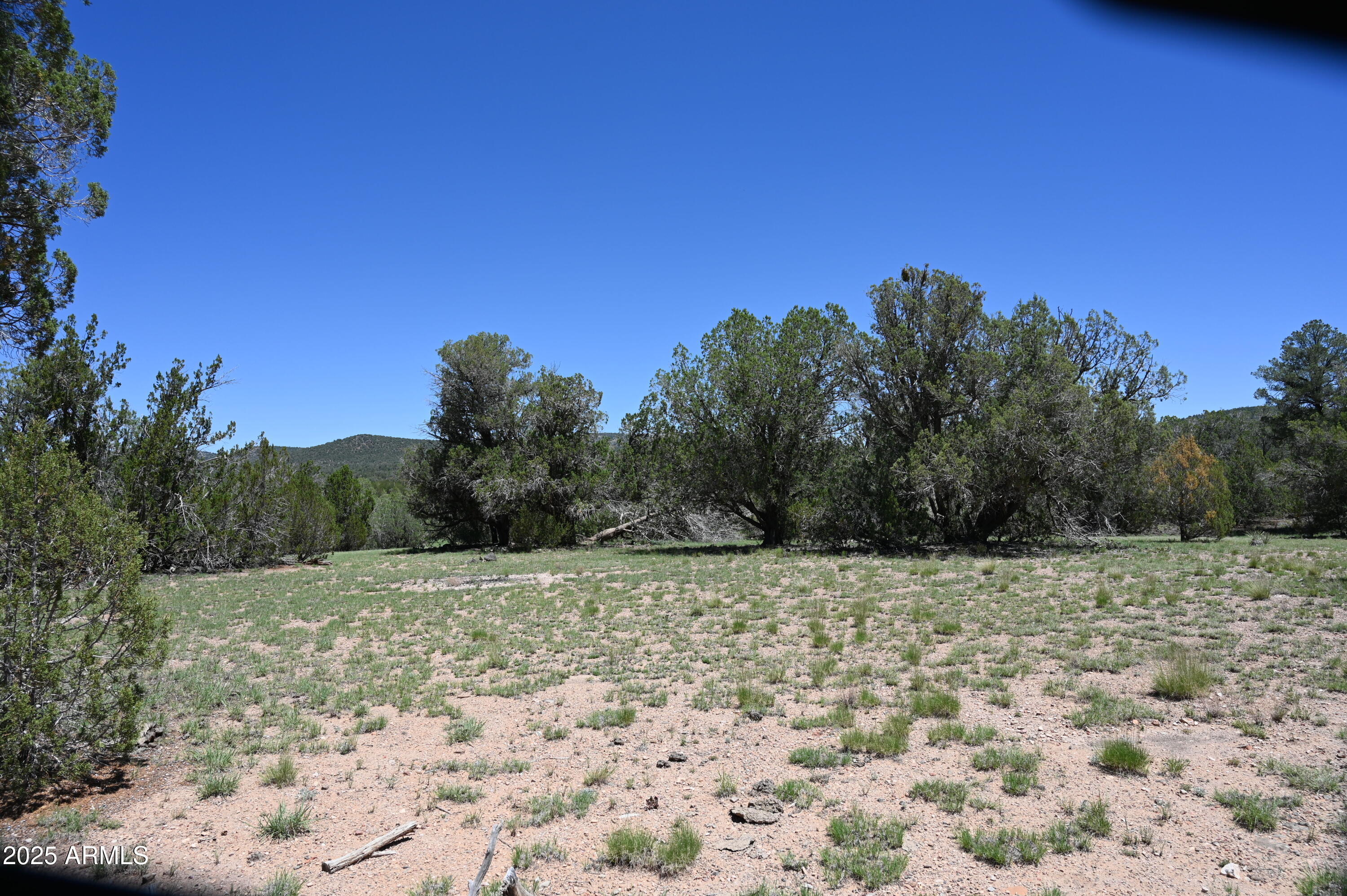 35800 W SILENT SHADOWS Trail, 12