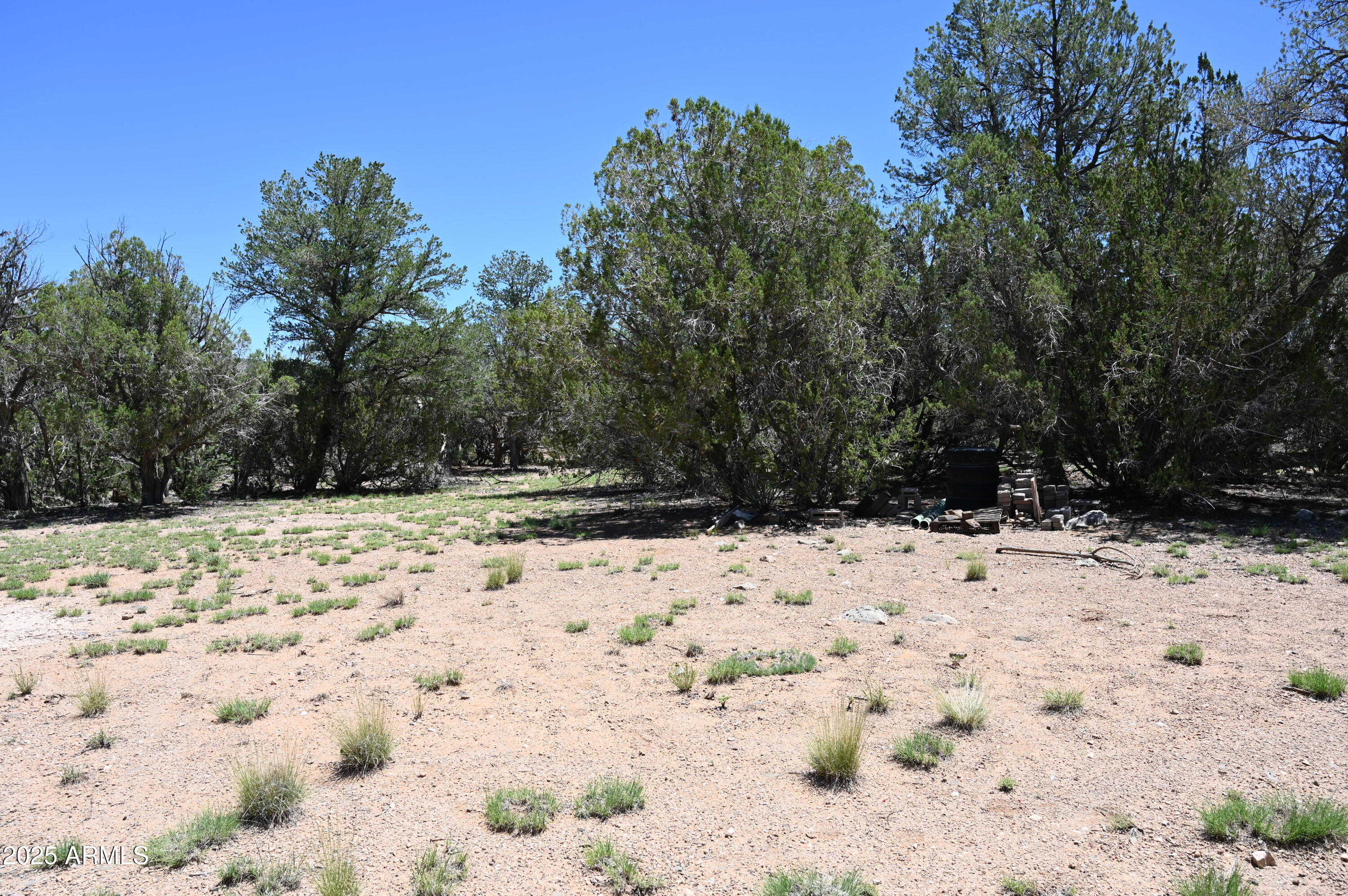 35800 W SILENT SHADOWS Trail, 12