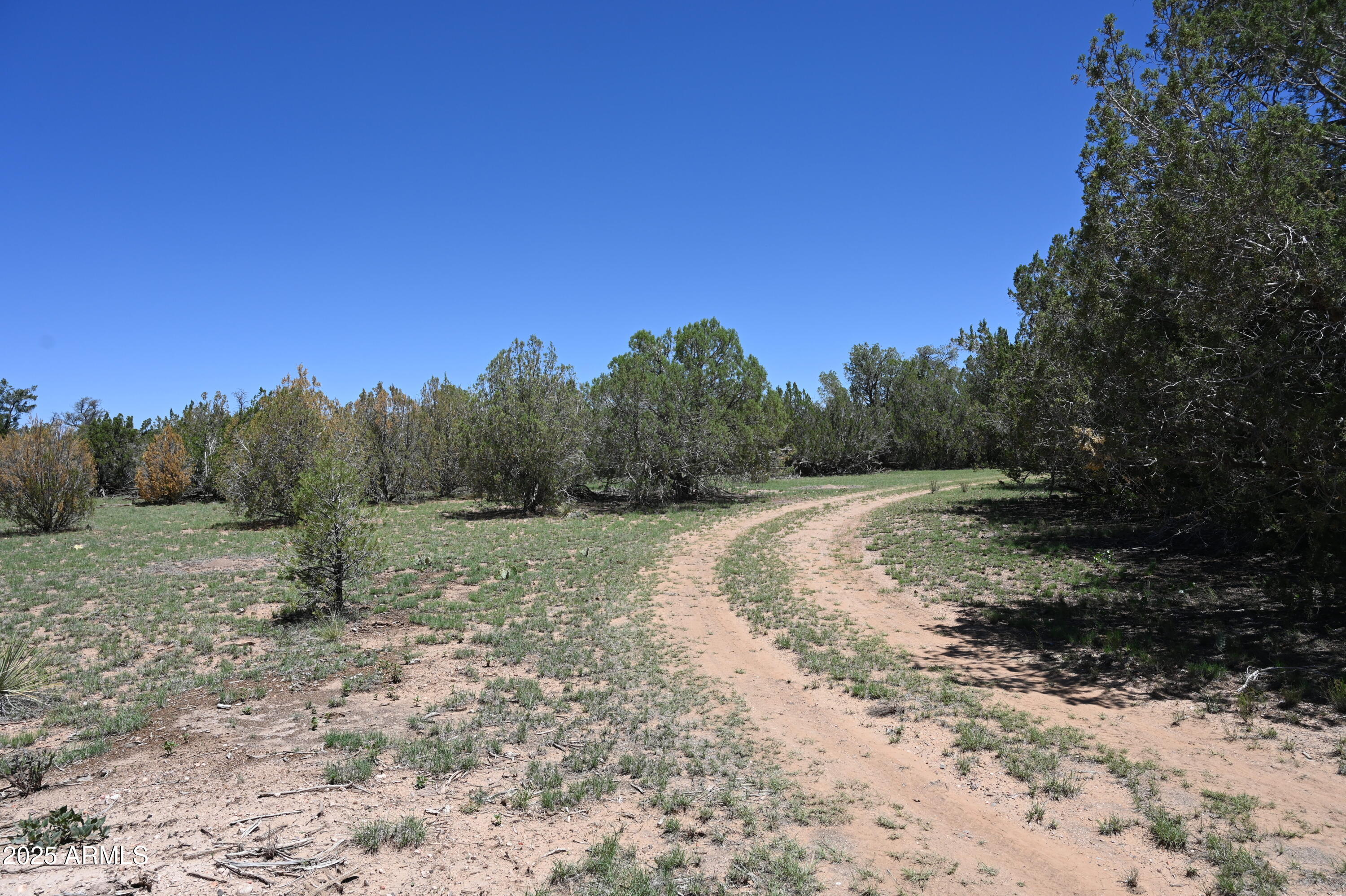 35800 W SILENT SHADOWS Trail, 12