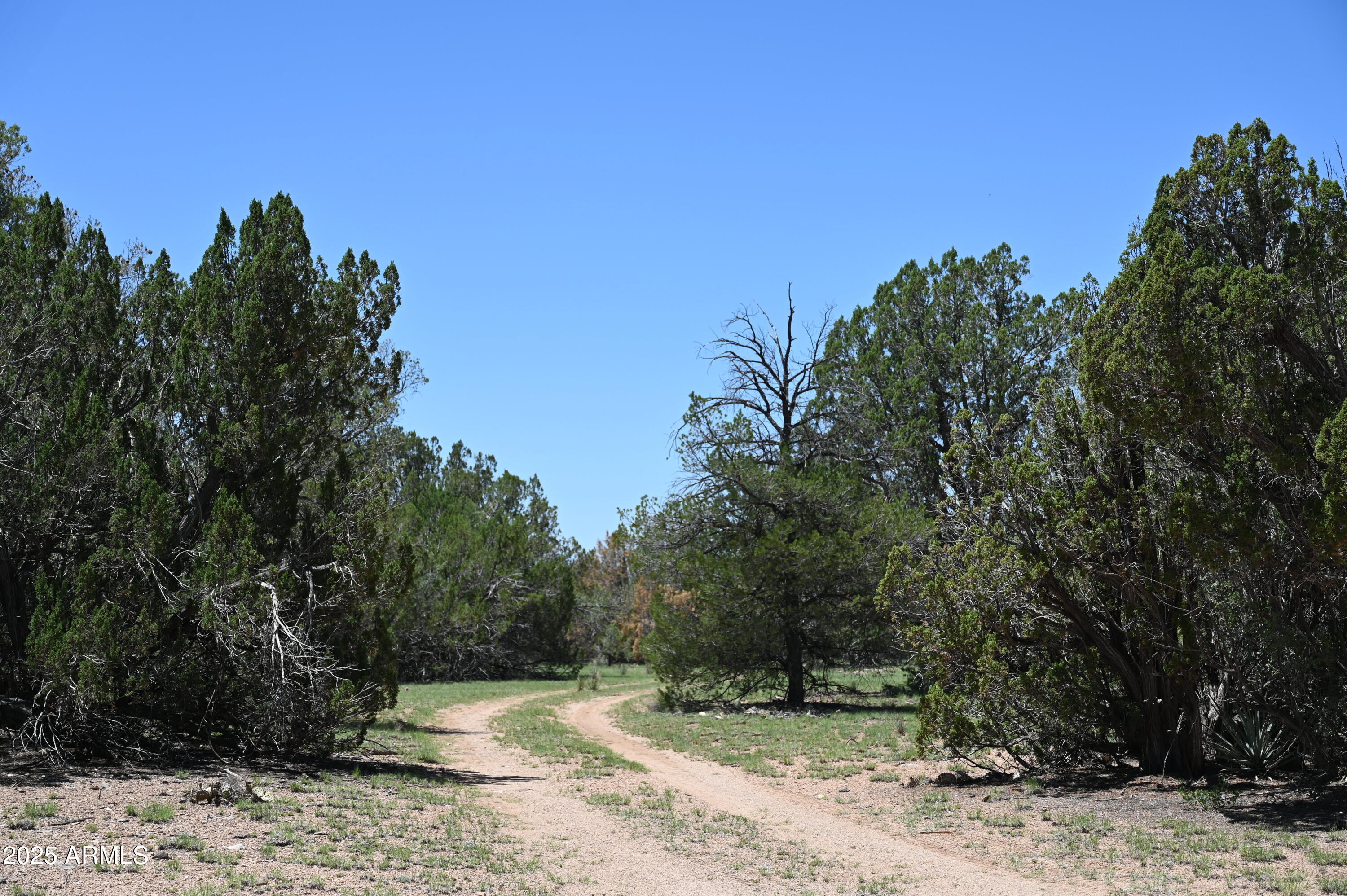 35800 W SILENT SHADOWS Trail, 12