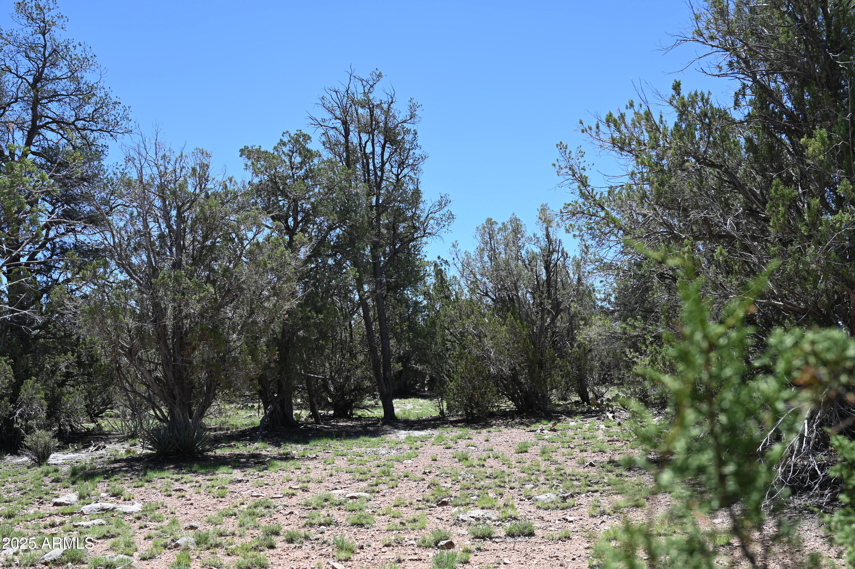 35800 W SILENT SHADOWS Trail, 12
