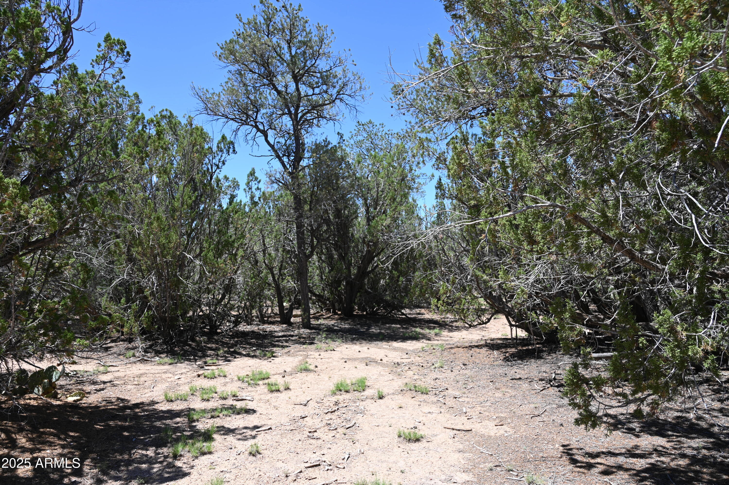 35800 W SILENT SHADOWS Trail, 12