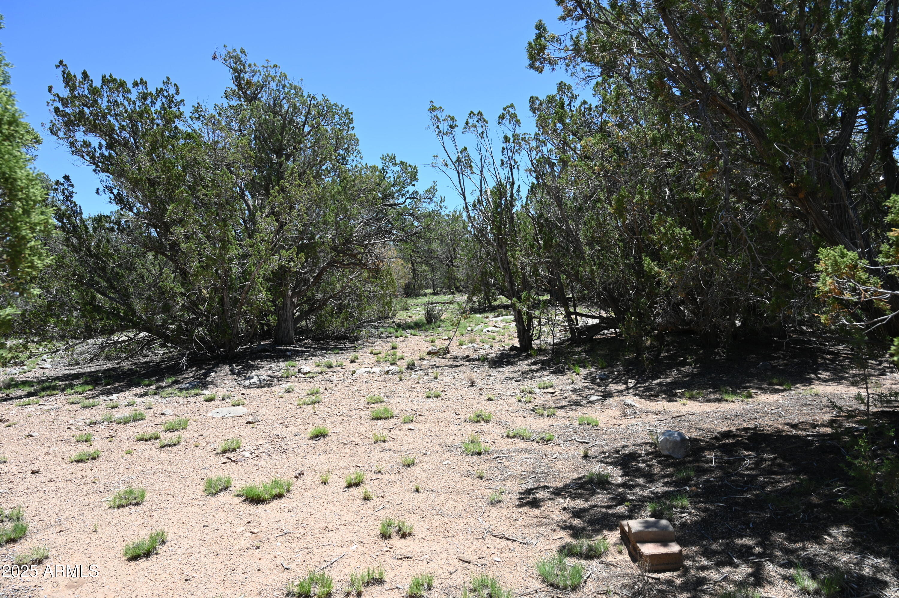 35800 W SILENT SHADOWS Trail, 12