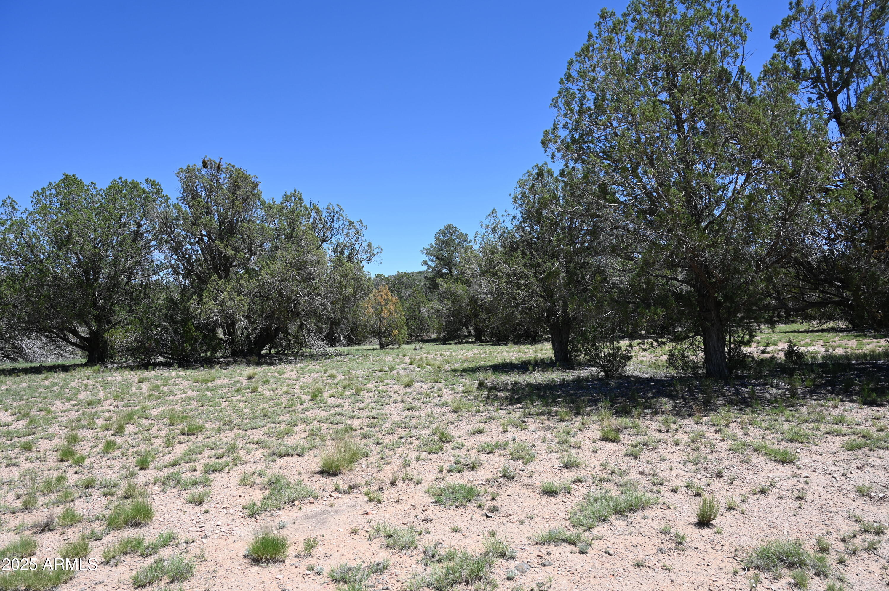 35800 W SILENT SHADOWS Trail, 12