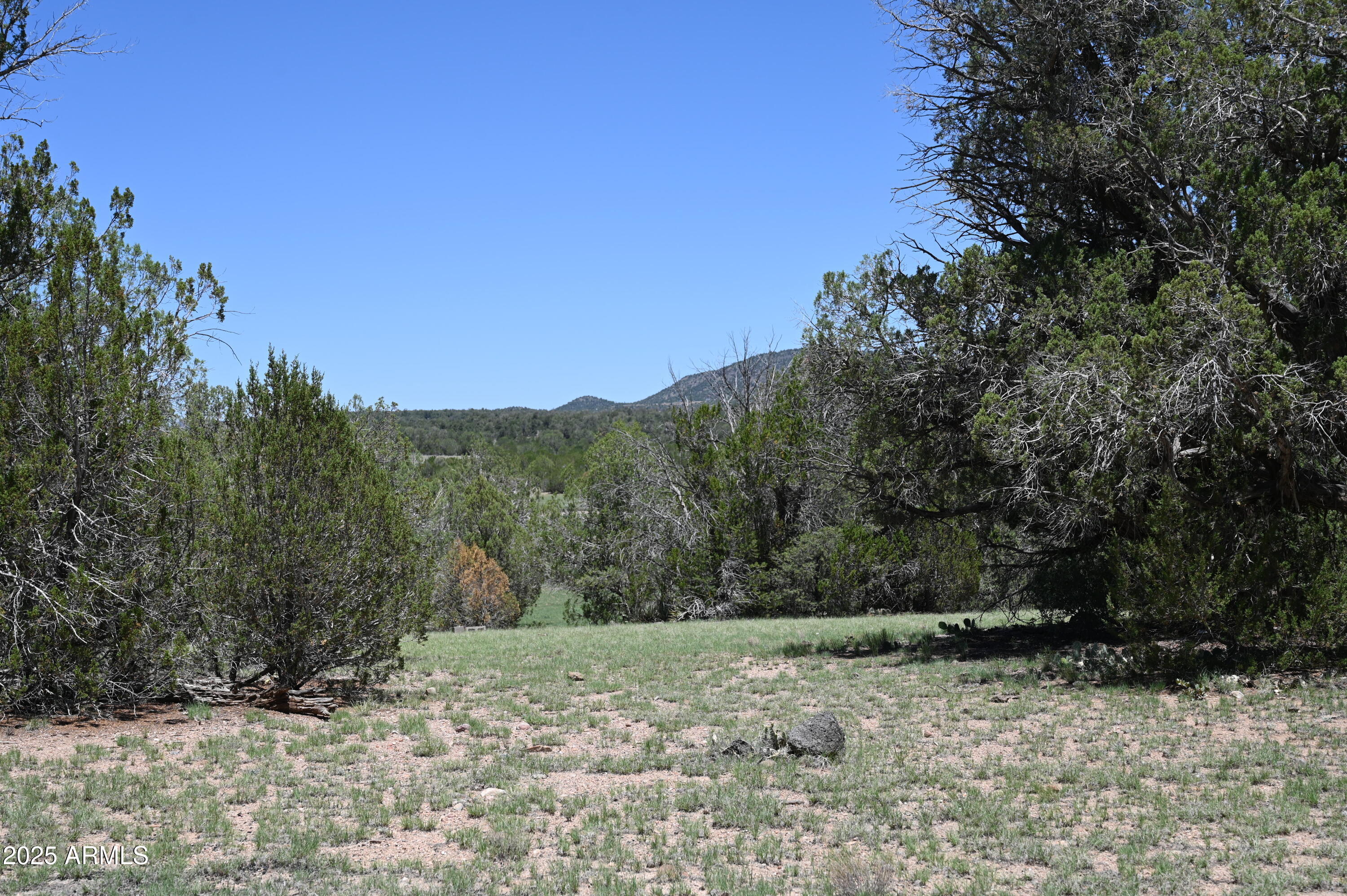 35800 W SILENT SHADOWS Trail, 12