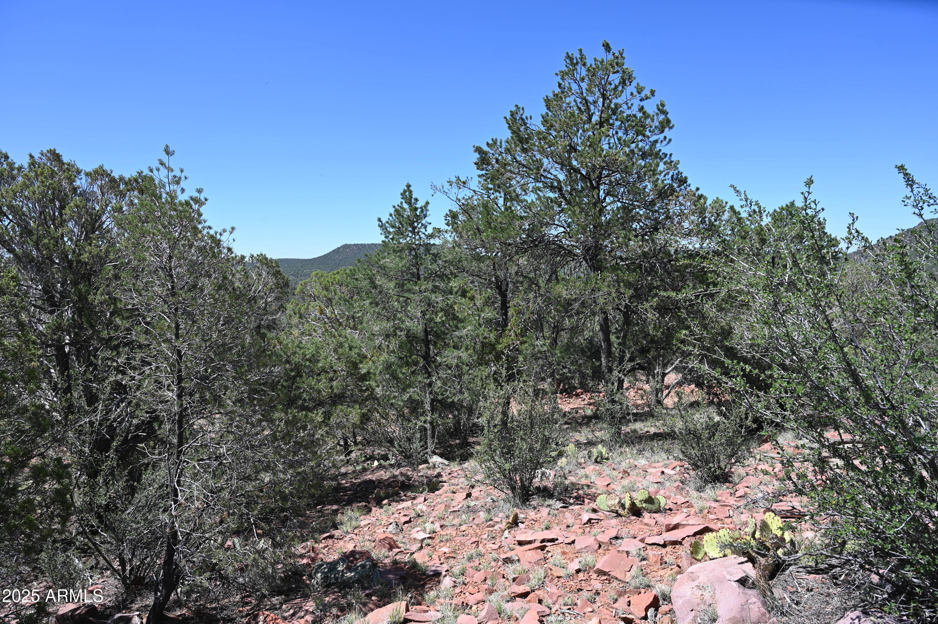 5556 W Refuge Road, 55