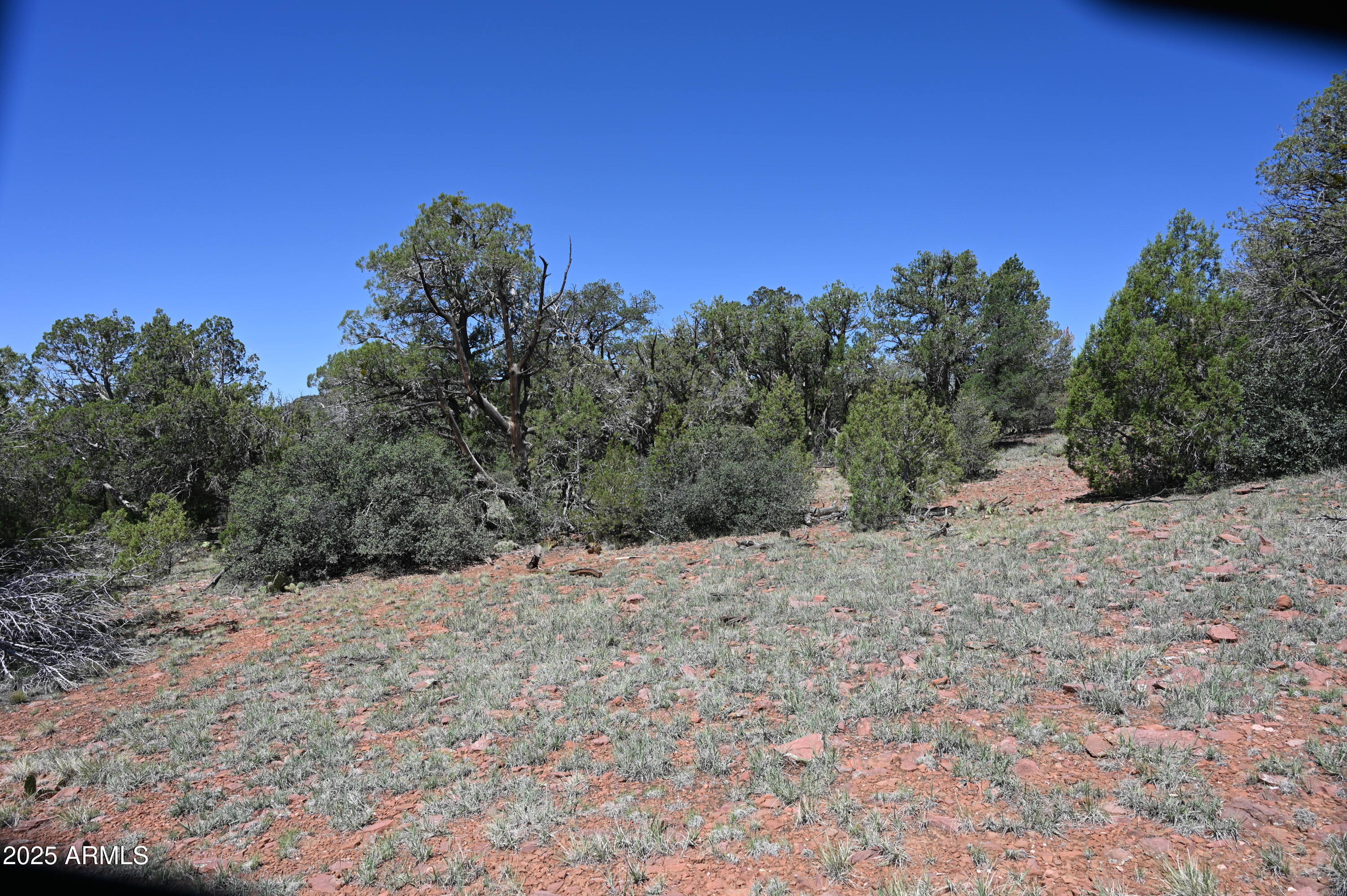 5556 W Refuge Road, 55