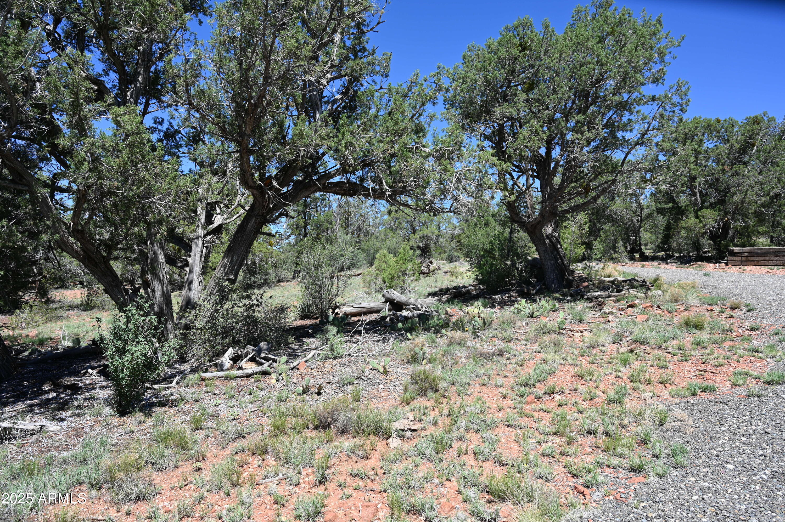 5556 W Refuge Road, 55