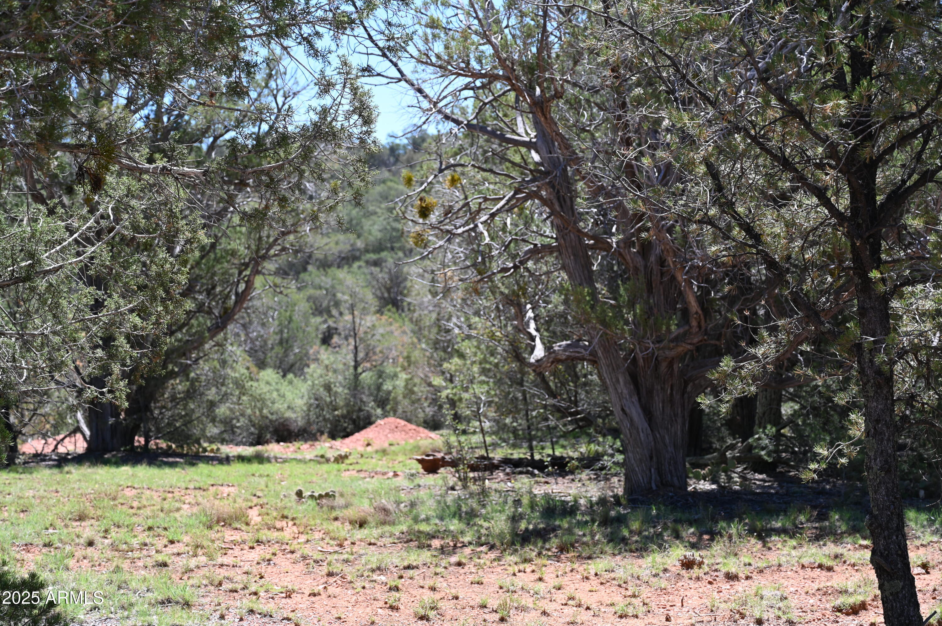 5556 W Refuge Road, 55