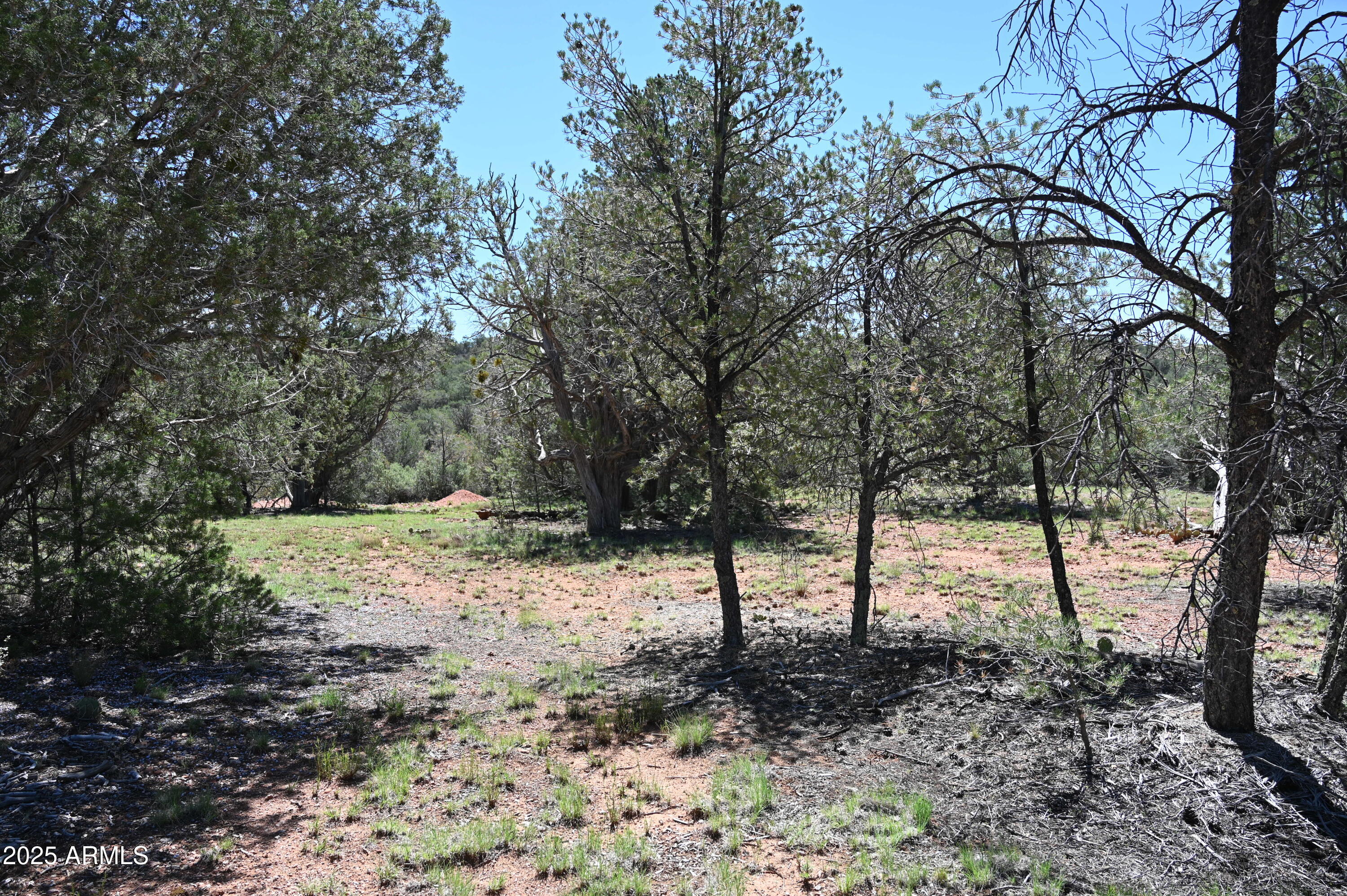 5556 W Refuge Road, 55
