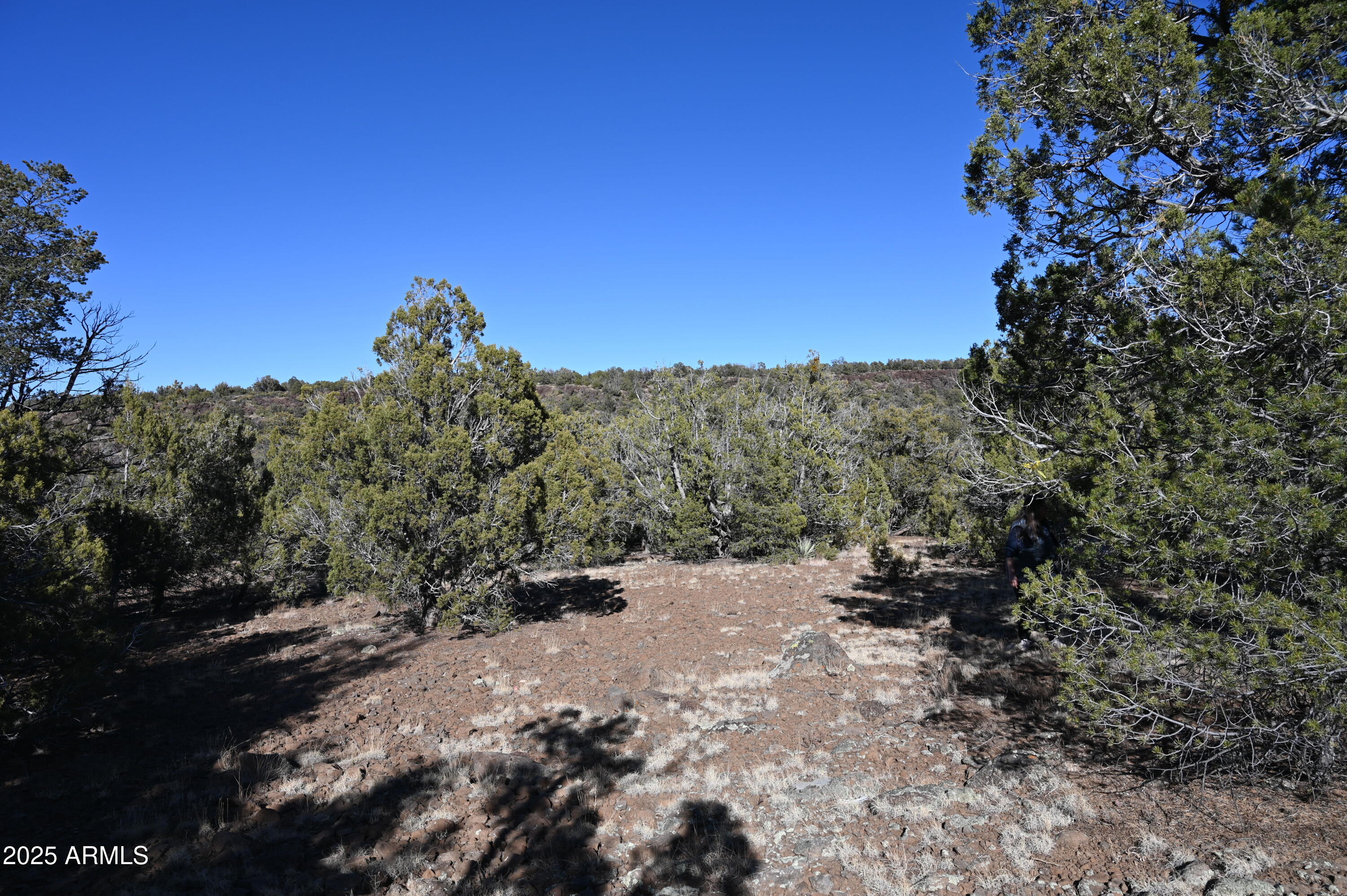 5556 W Refuge Road, 55