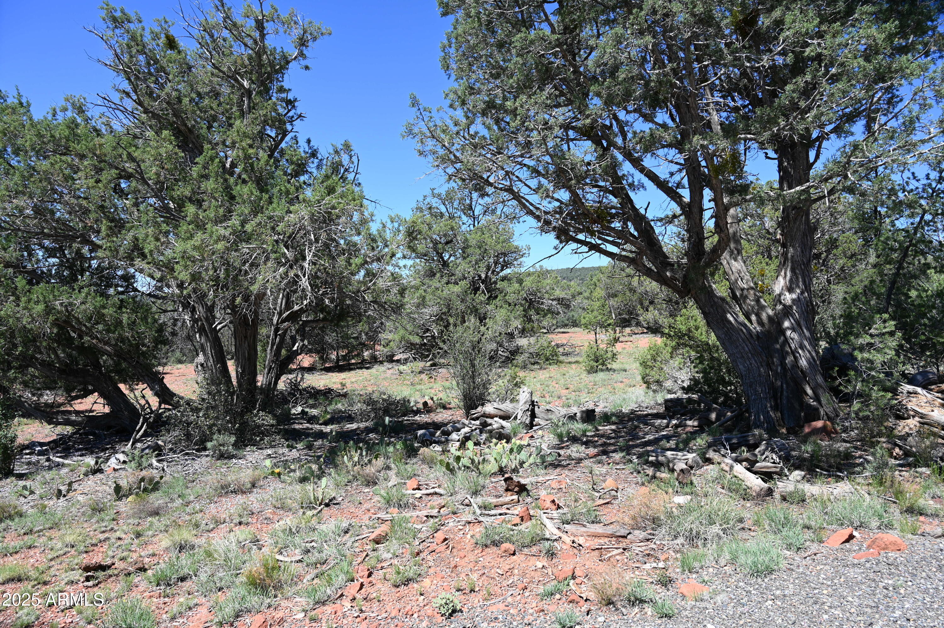 5556 W Refuge Road, 55