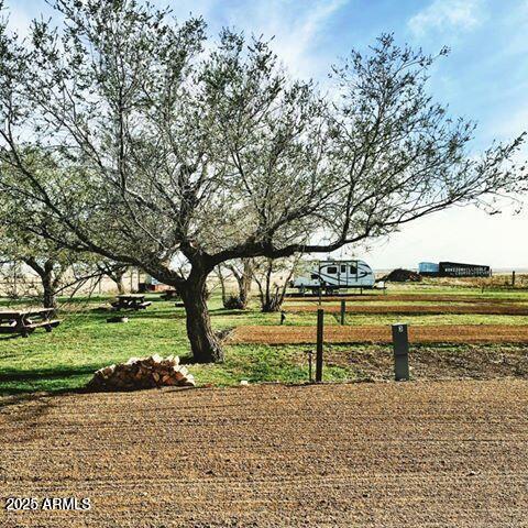 669 Buffalo Trail