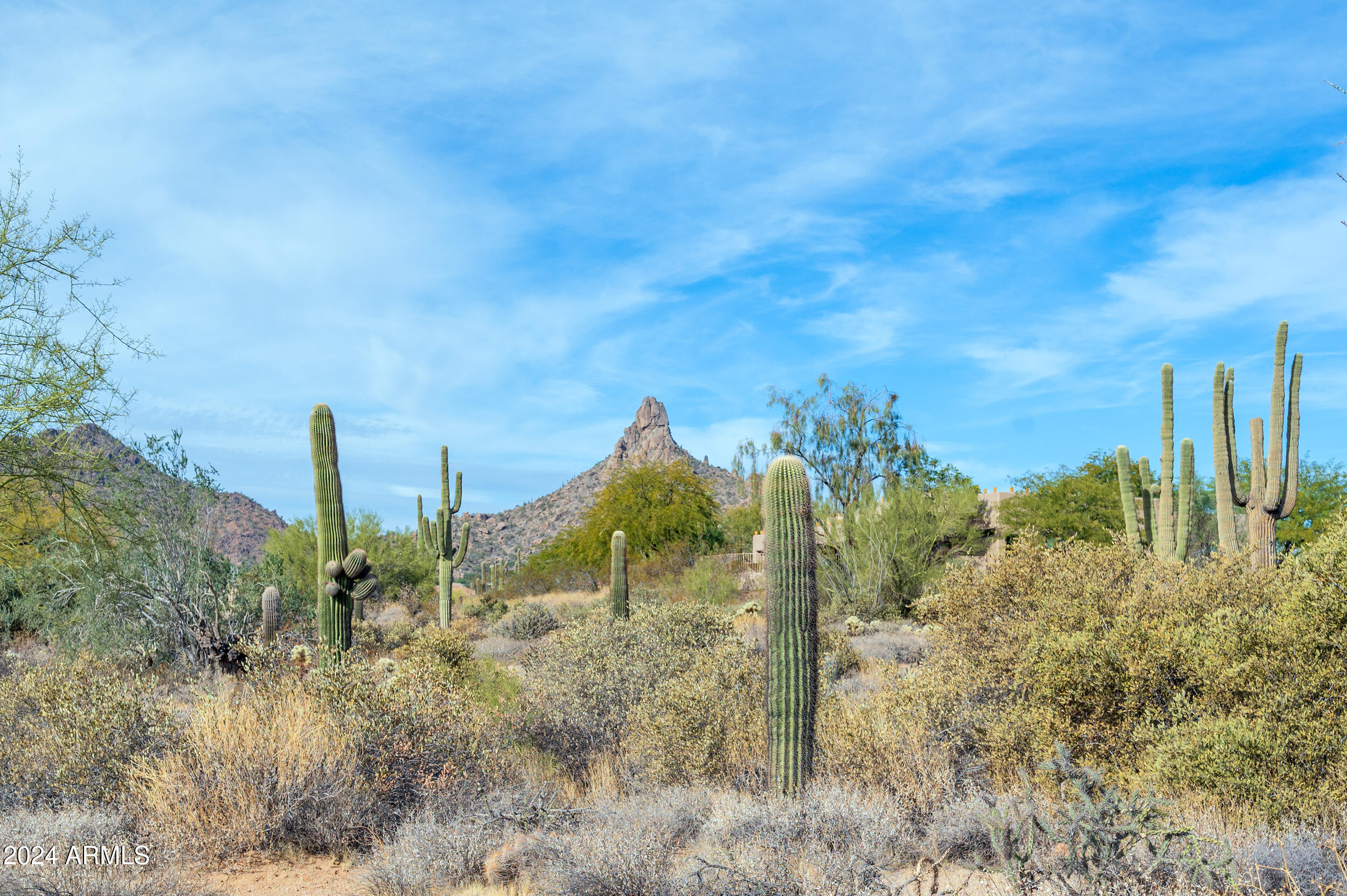 10326 E BUCKSKIN Trail