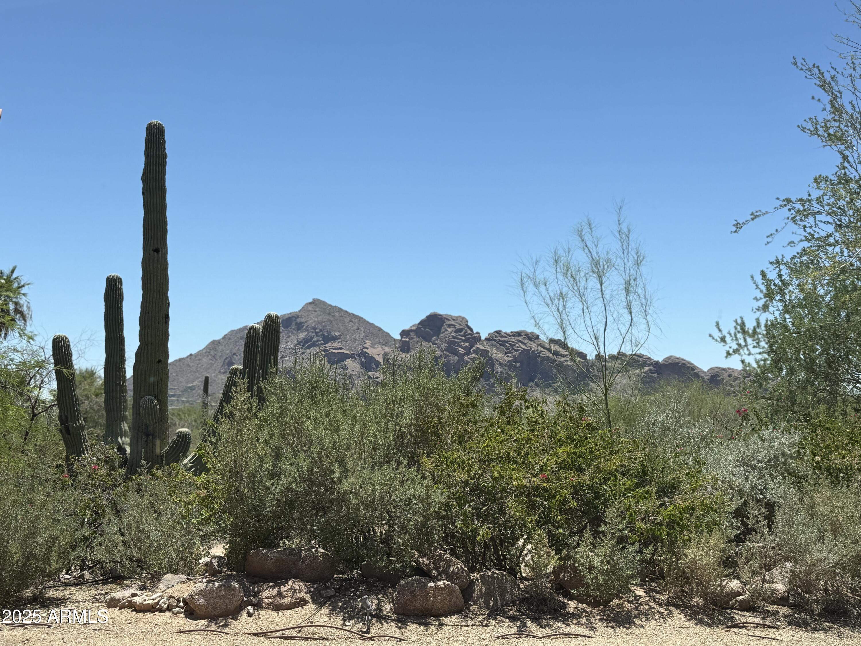 4510 E PEPPER TREE Lane