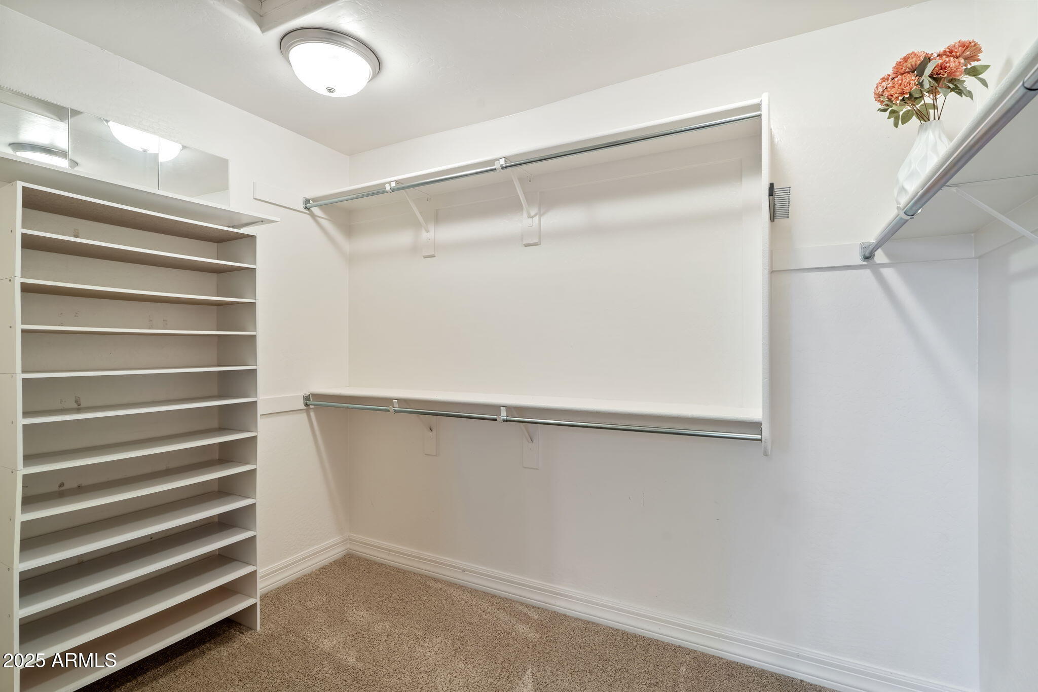 4901 S JOSHUA TREE Lane