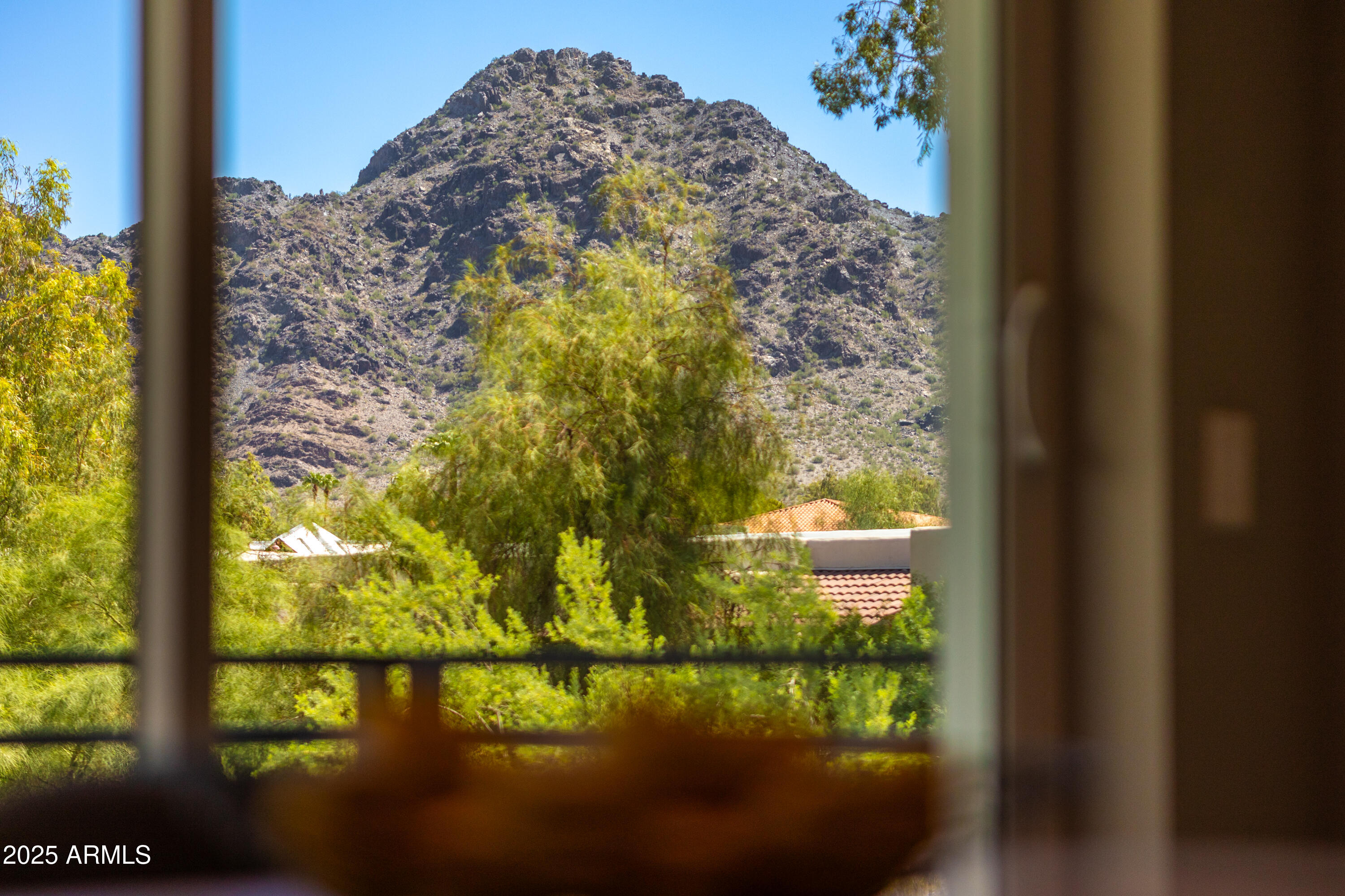 1717 E MORTEN Avenue, 62